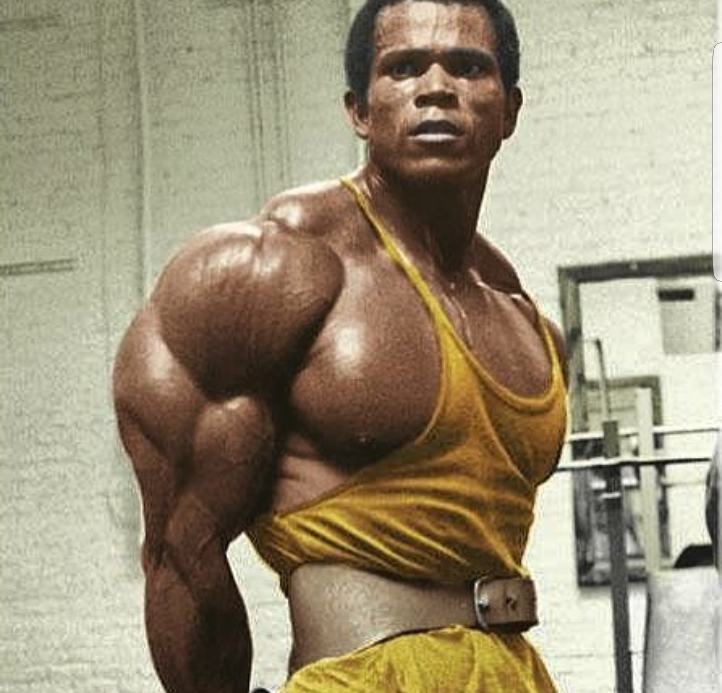 best Serge Nubret image on Pholder. Bodybuilding, Bodybuildingpics and France