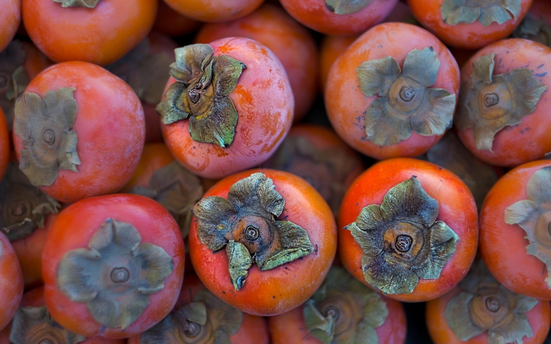 Wallpaper Fruit, persimmon 1920x1200 HD Picture, Image