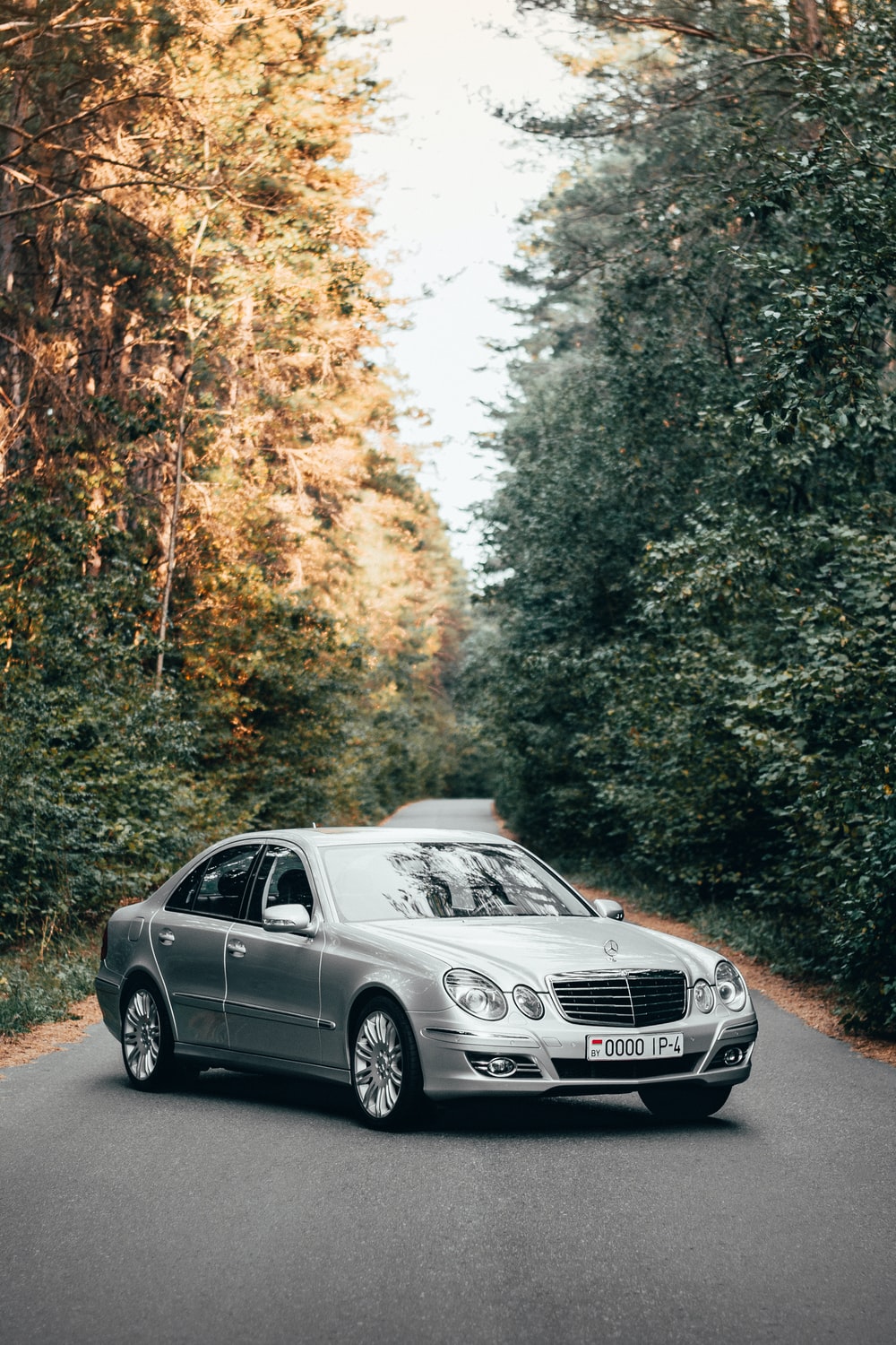 black mercedes benz sedan on road surrounded by trees during daytime photo