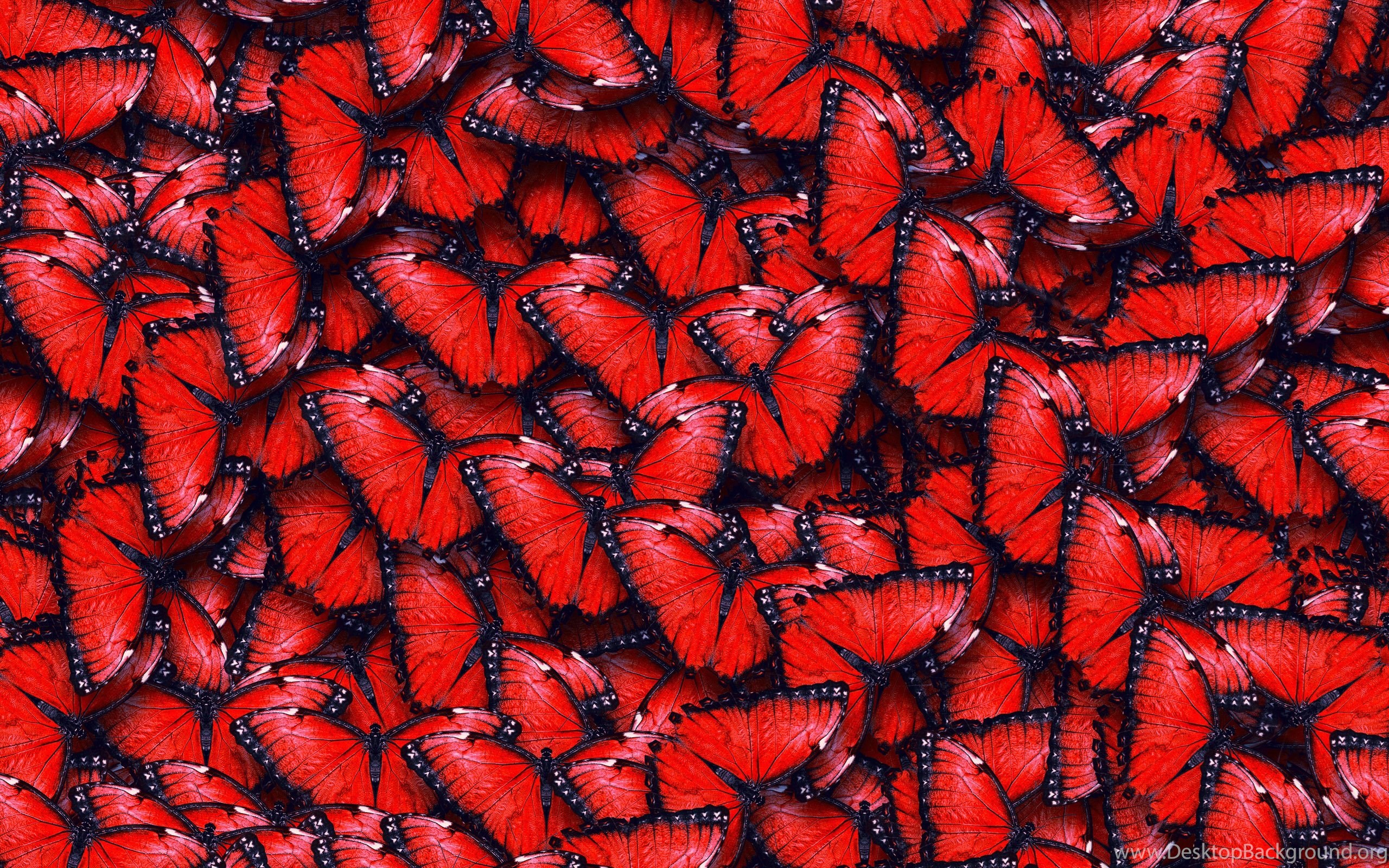 Red Butterfly Pattern Wallpaper Desktop Background