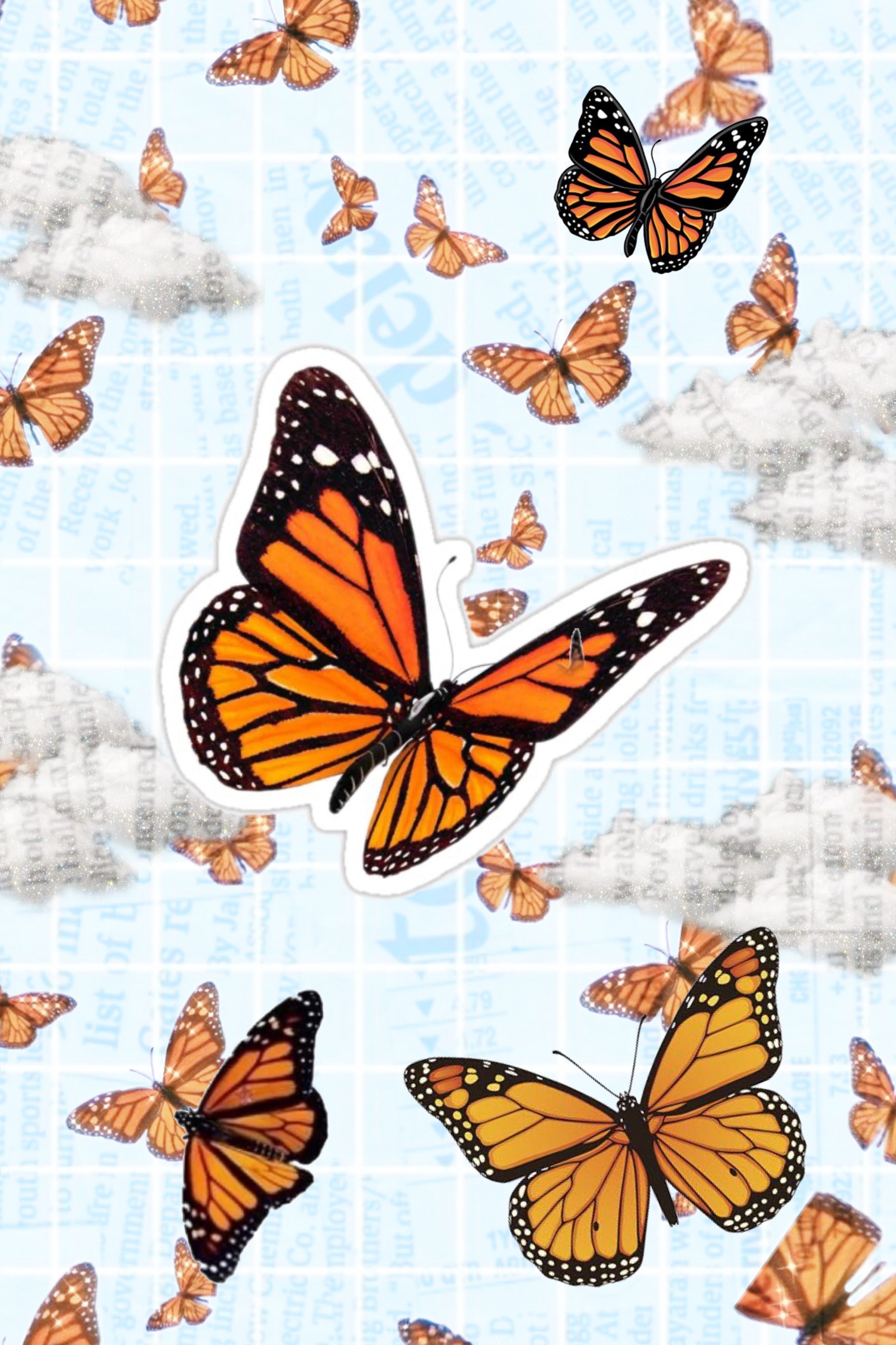 butterfly wallpaper. Butterfly wallpaper, Colorful wallpaper, Purple butterfly wallpaper