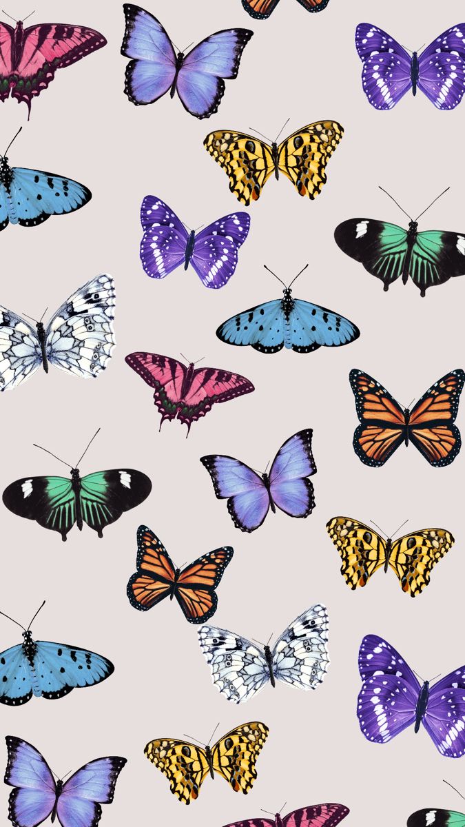 Tutorial: Aesthetic Butterfly Wallpaper. Butterfly wallpaper, Butterfly wallpaper iphone, iPhone background wallpaper