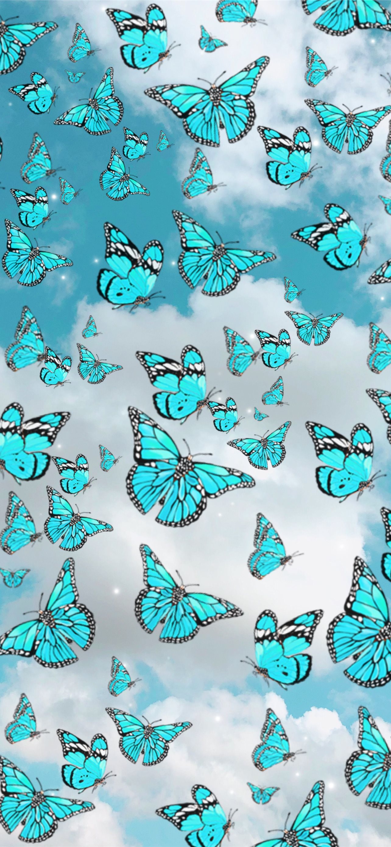 Latest Butterfly iPhone HD Wallpaper
