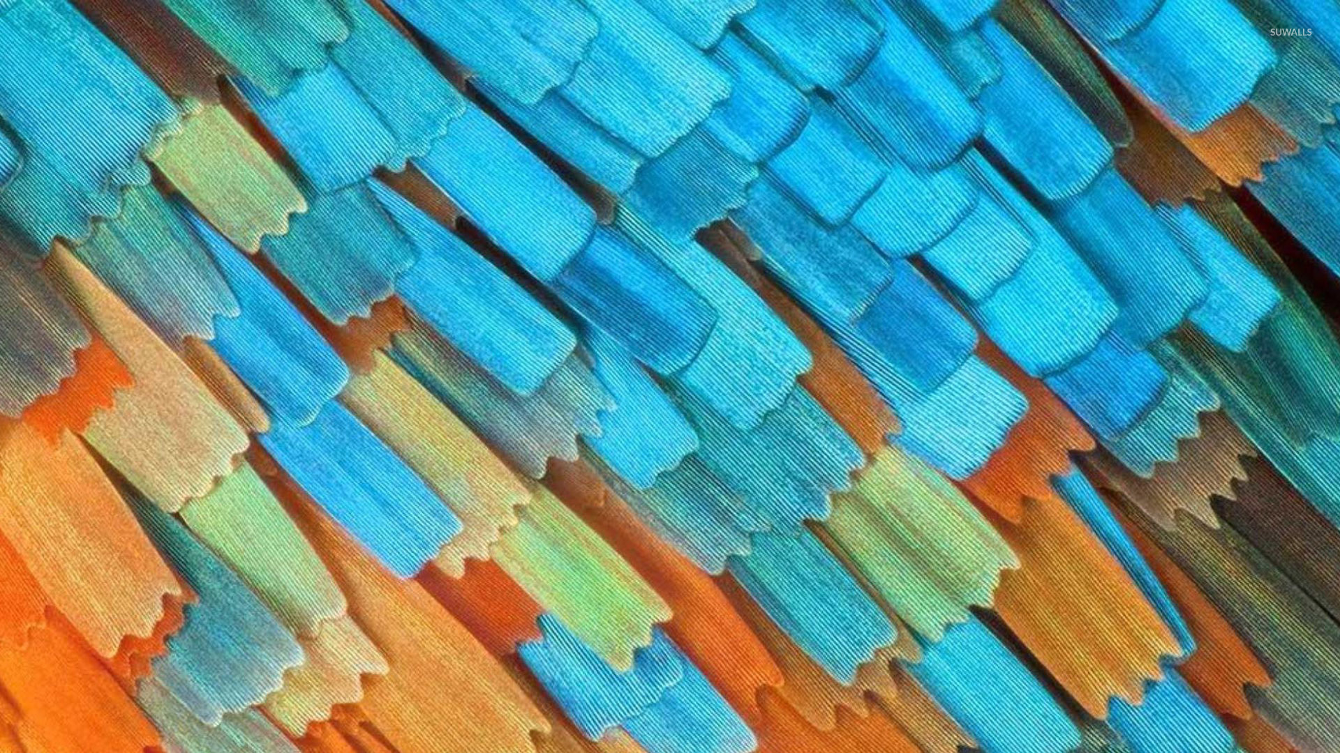 Brush strokes wallpaper wallpaper