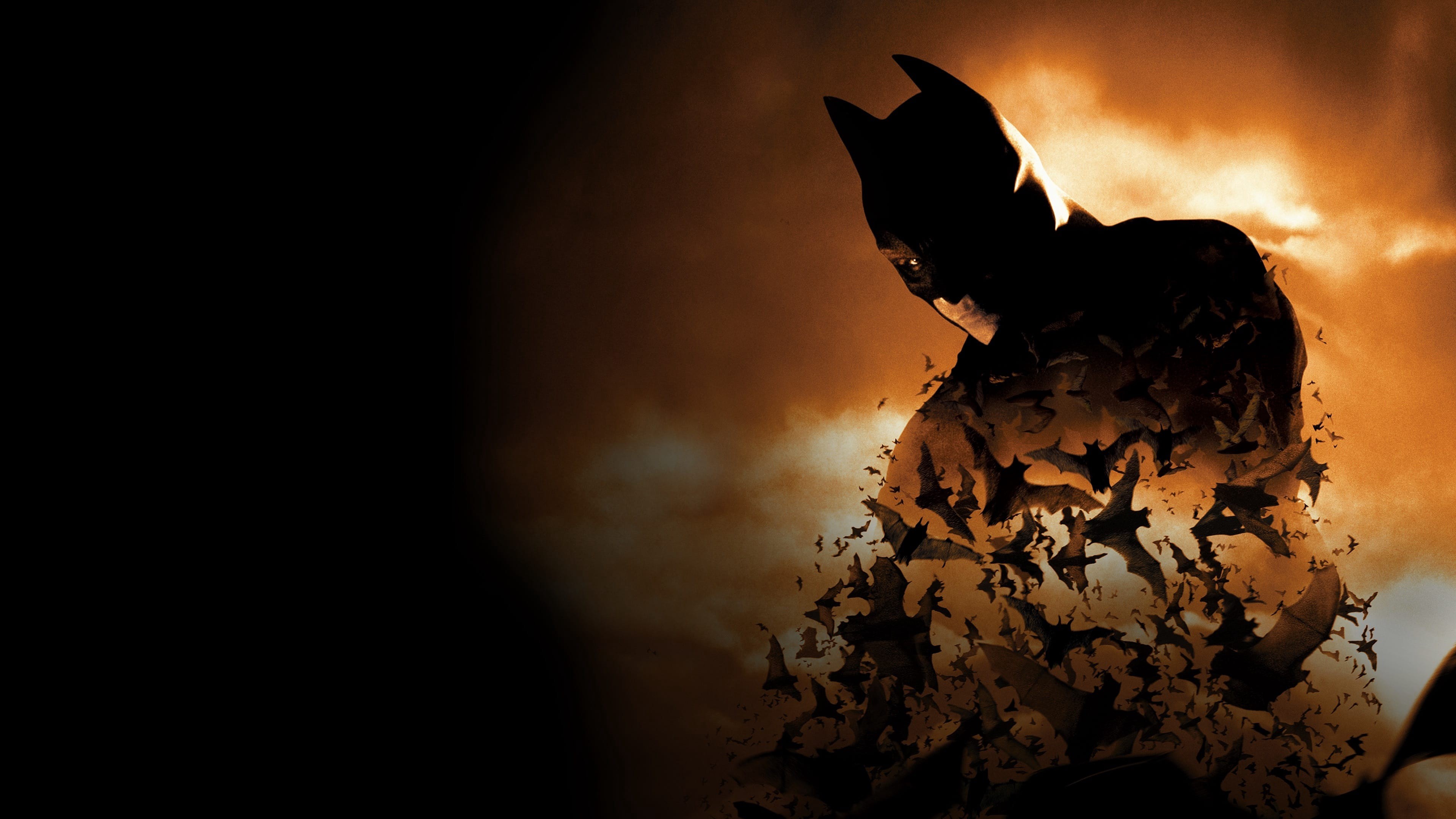 Batman Begins 4k Poster, HD Movies, 4k Wallpaper, Image, Background, Photo and Picture