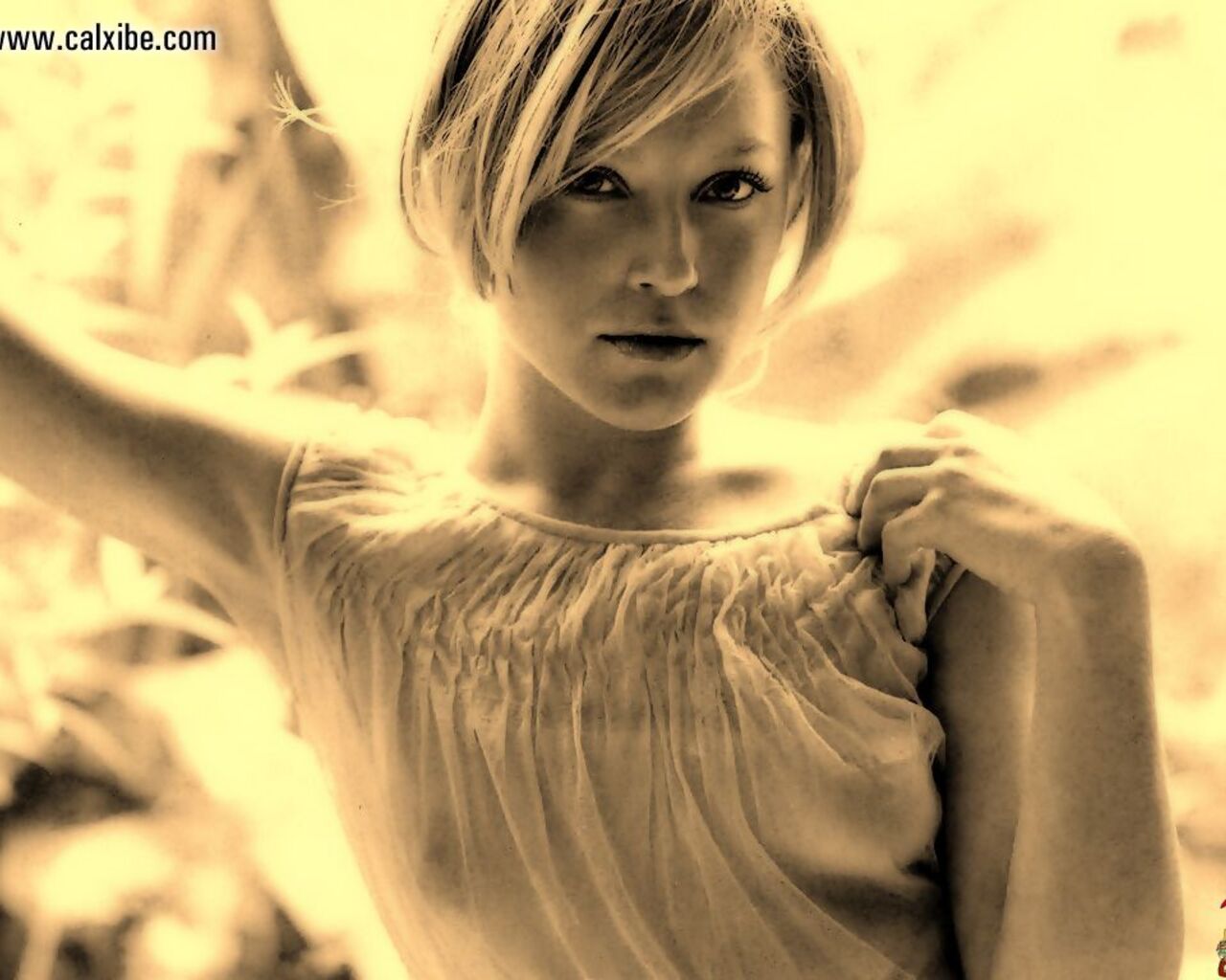 Elizabeth Rohm Wallpaper