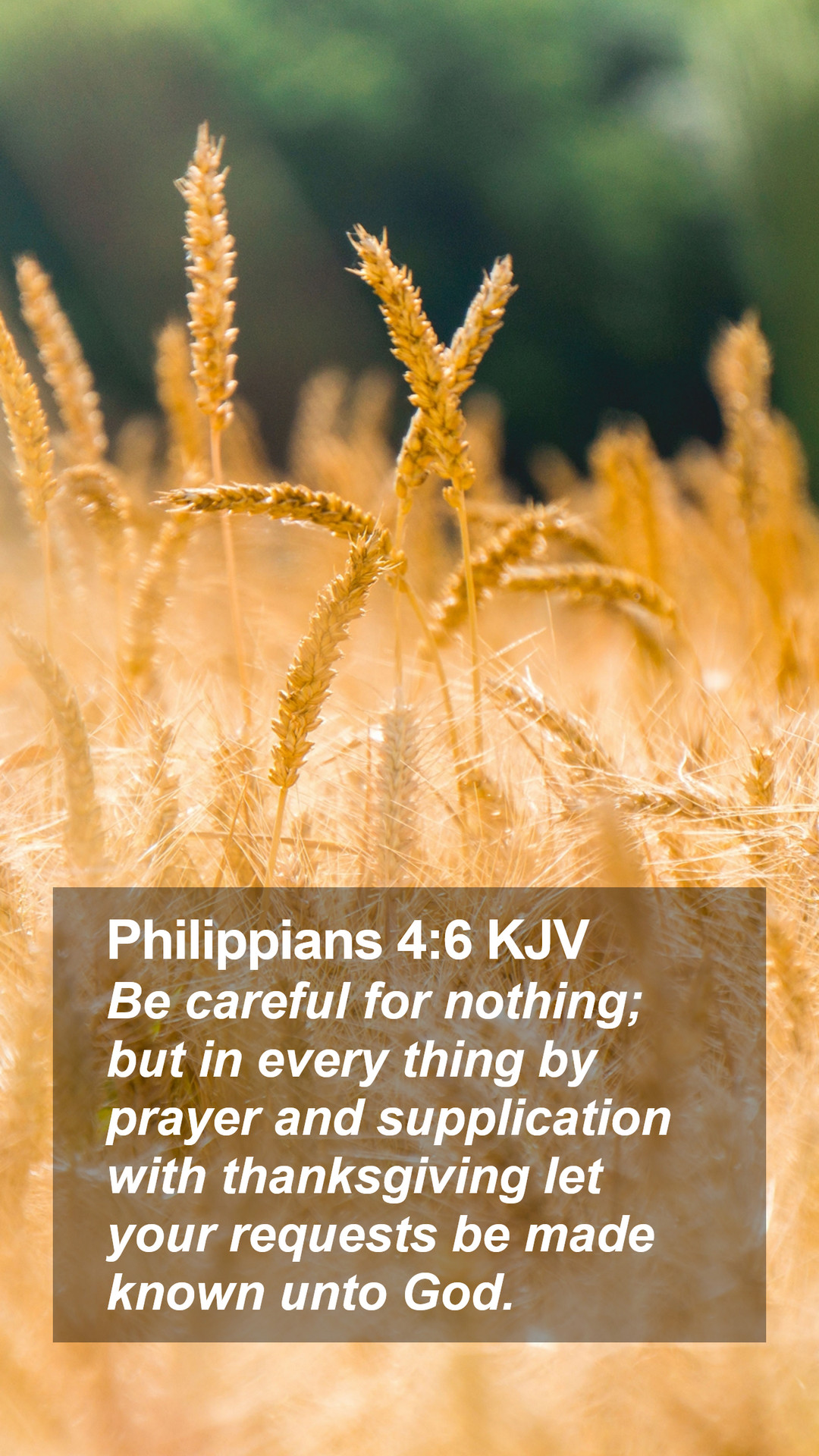 Philippians 4:6 KJV Mobile Phone Wallpaper careful for nothing; but in every thing by