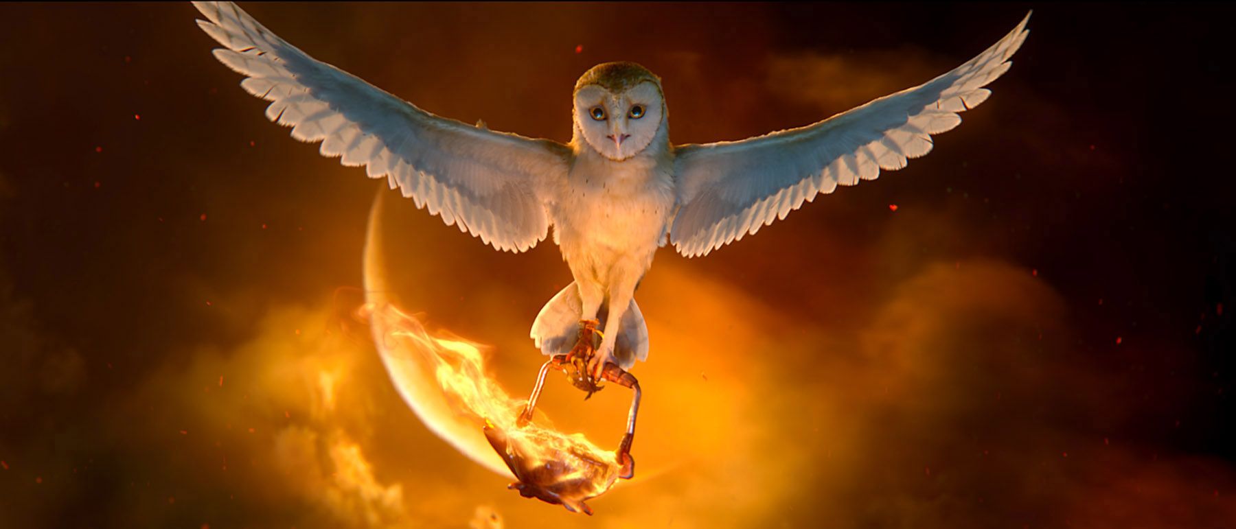 Owl Art. Guardians of ga'hoole, Legend of the guardians, Ga'hoole