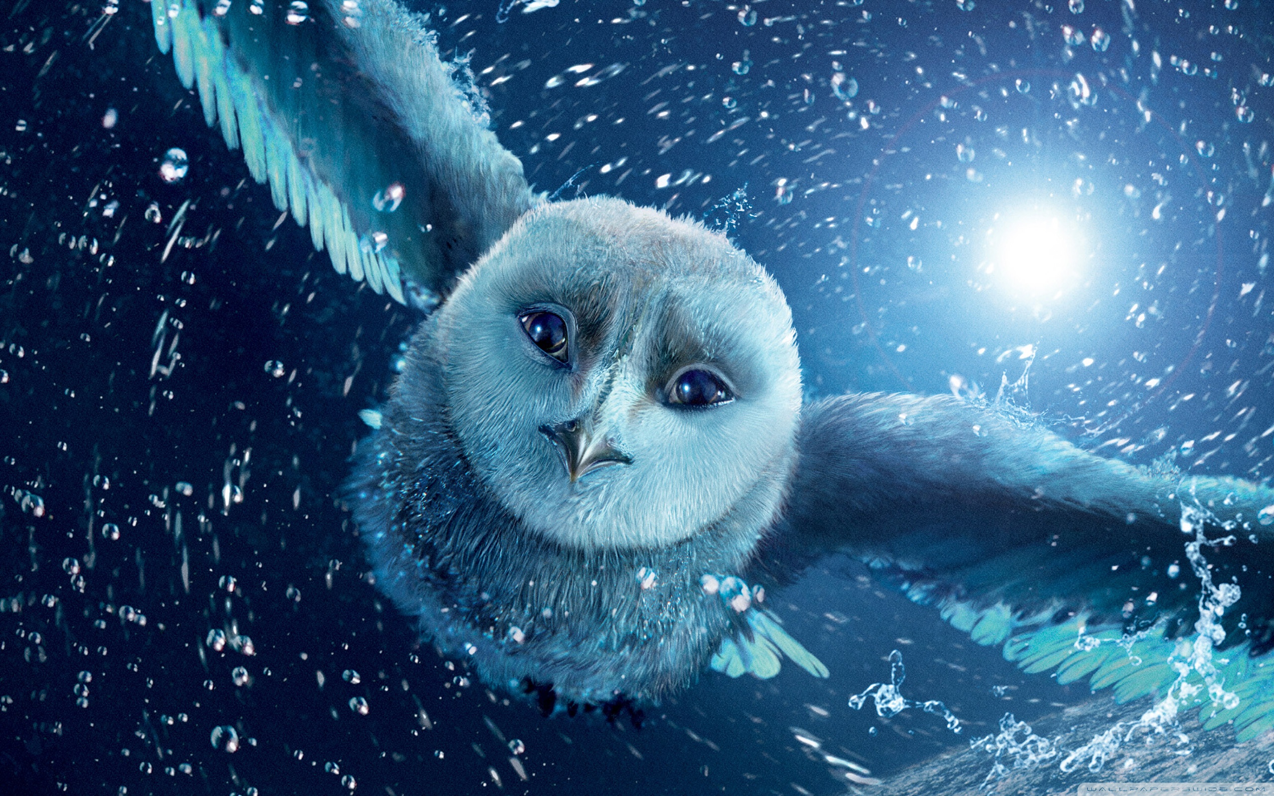 Legend of the Guardians The Owls of Ga Hoole Ultra HD Desktop Background Wallpaper for 4K UHD TV, Widescreen & UltraWide Desktop & Laptop, Tablet