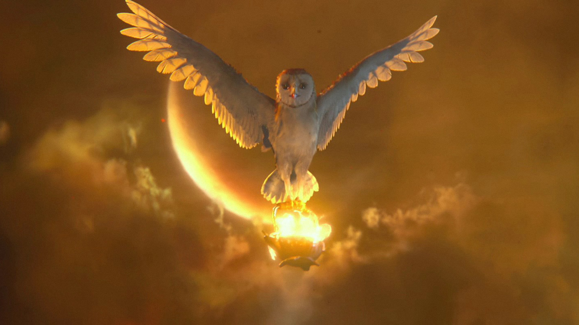 Legend of the Guardians: The Owls of Ga'Hoole Wallpaper