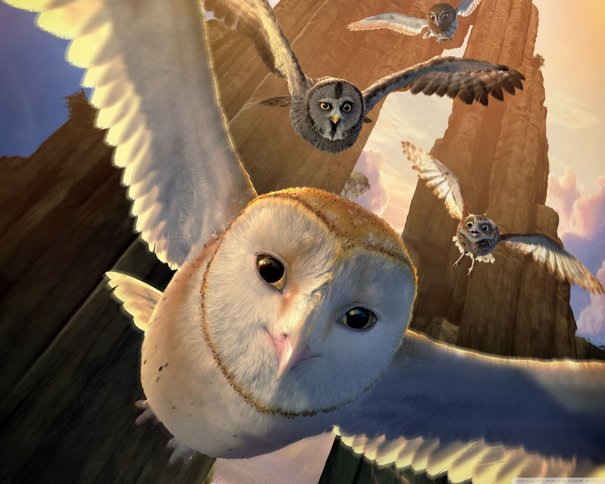 Legend of the Guardians The Owls of Ga Hoole Ultra HD Desktop Background Wallpaper for 4K UHD TV, Widescreen & UltraWide Desktop & Laptop, Tablet