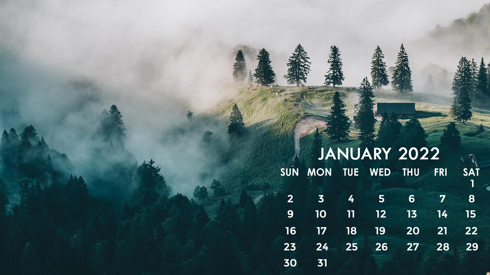 January 2022 calendar wallpaper desktop laptop computer background