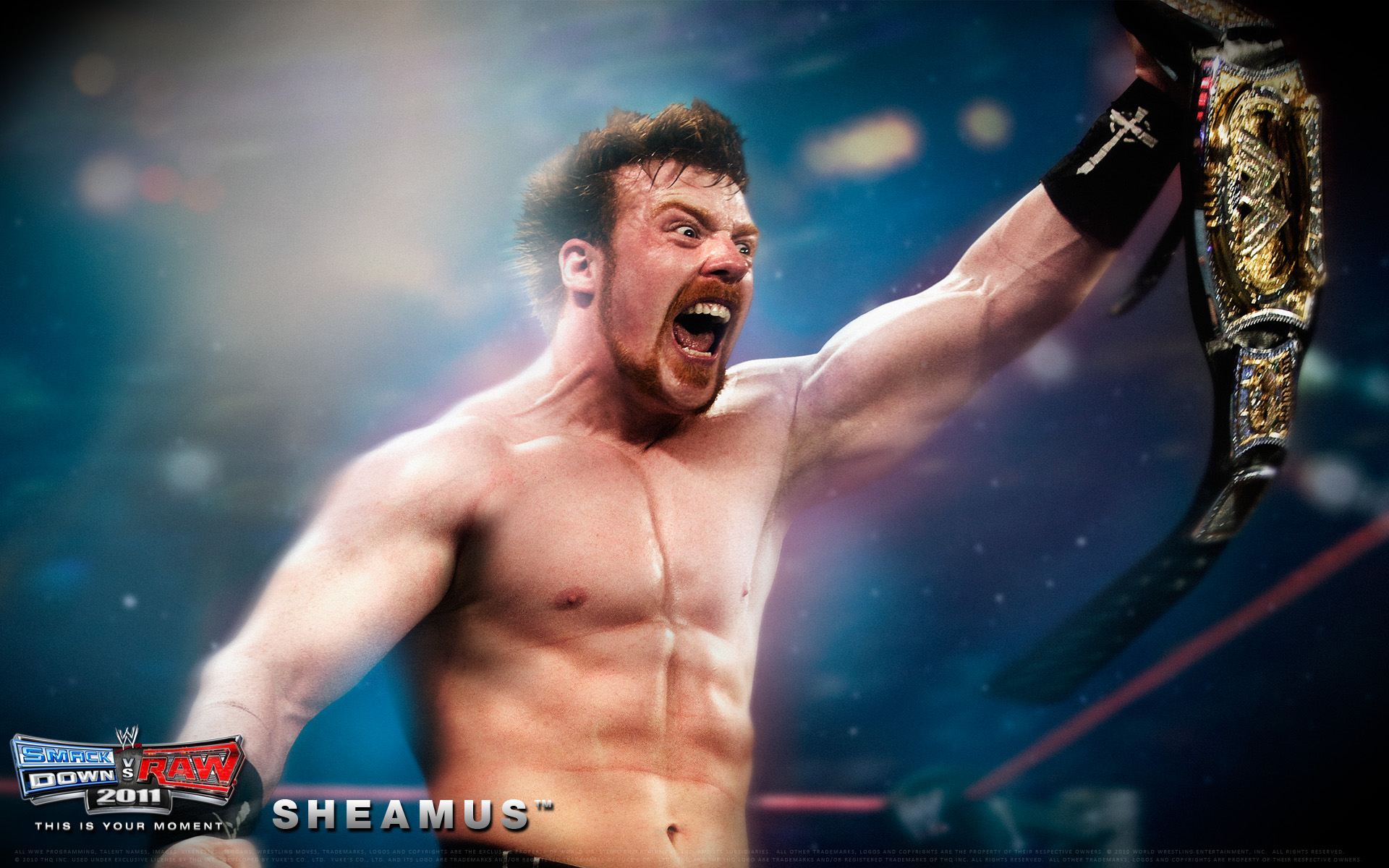 Wwe Smackdown Vs Raw 2011 Sheamus Wallpaper