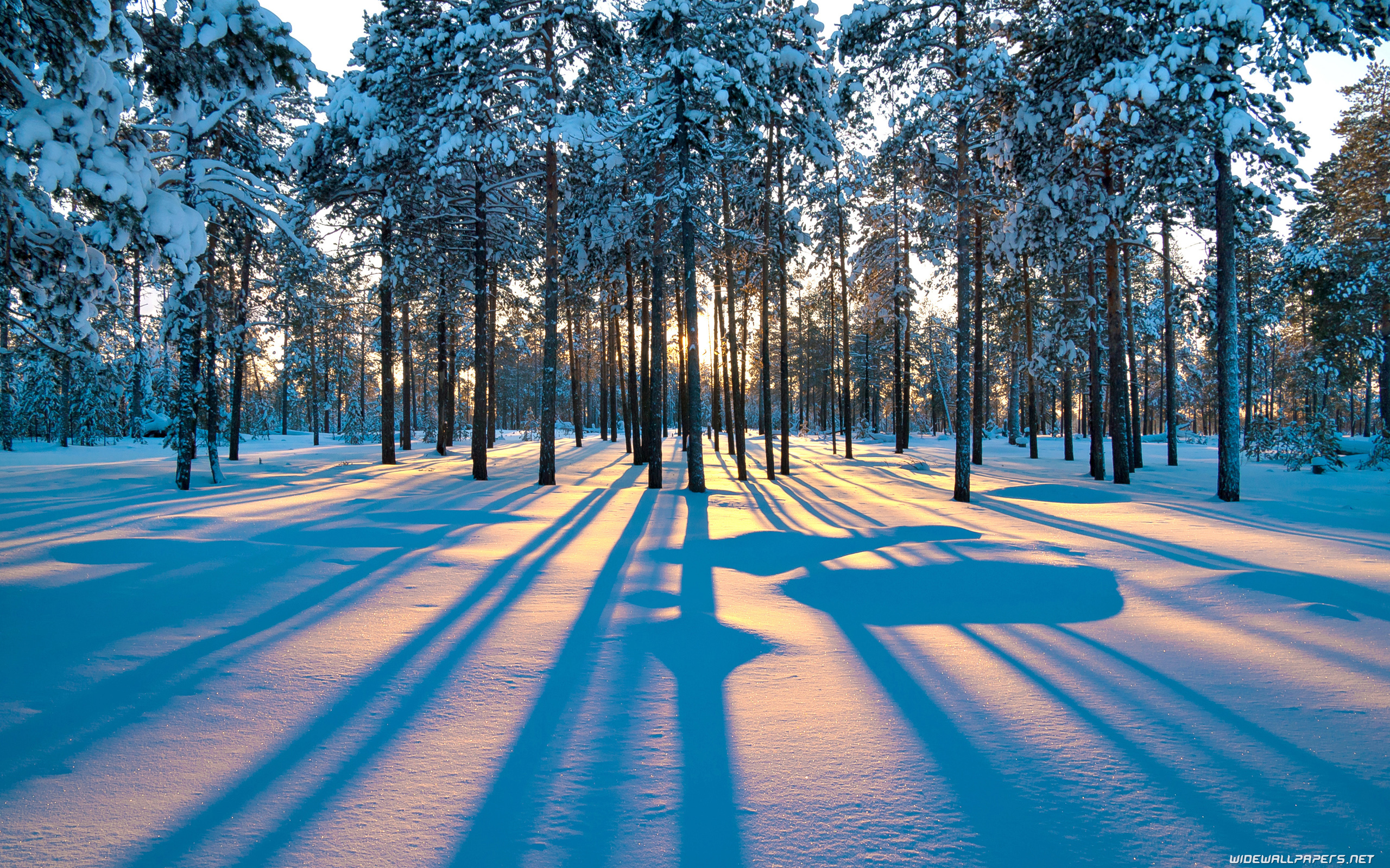 Winter desktop wallpaper 4K Ultra HD