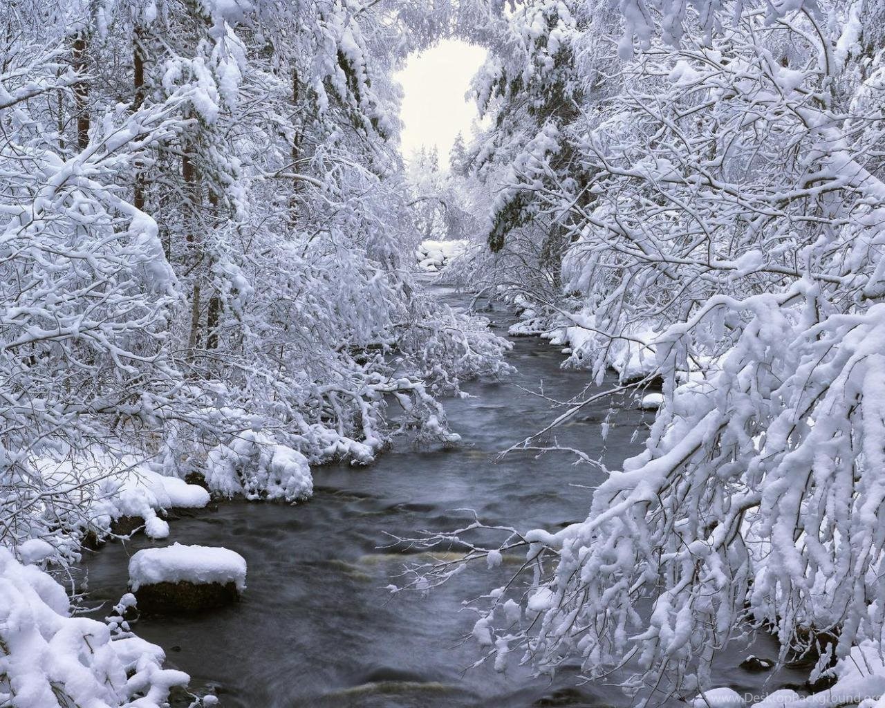 Beautiful Winter Scene Wallpaper Desktop Background