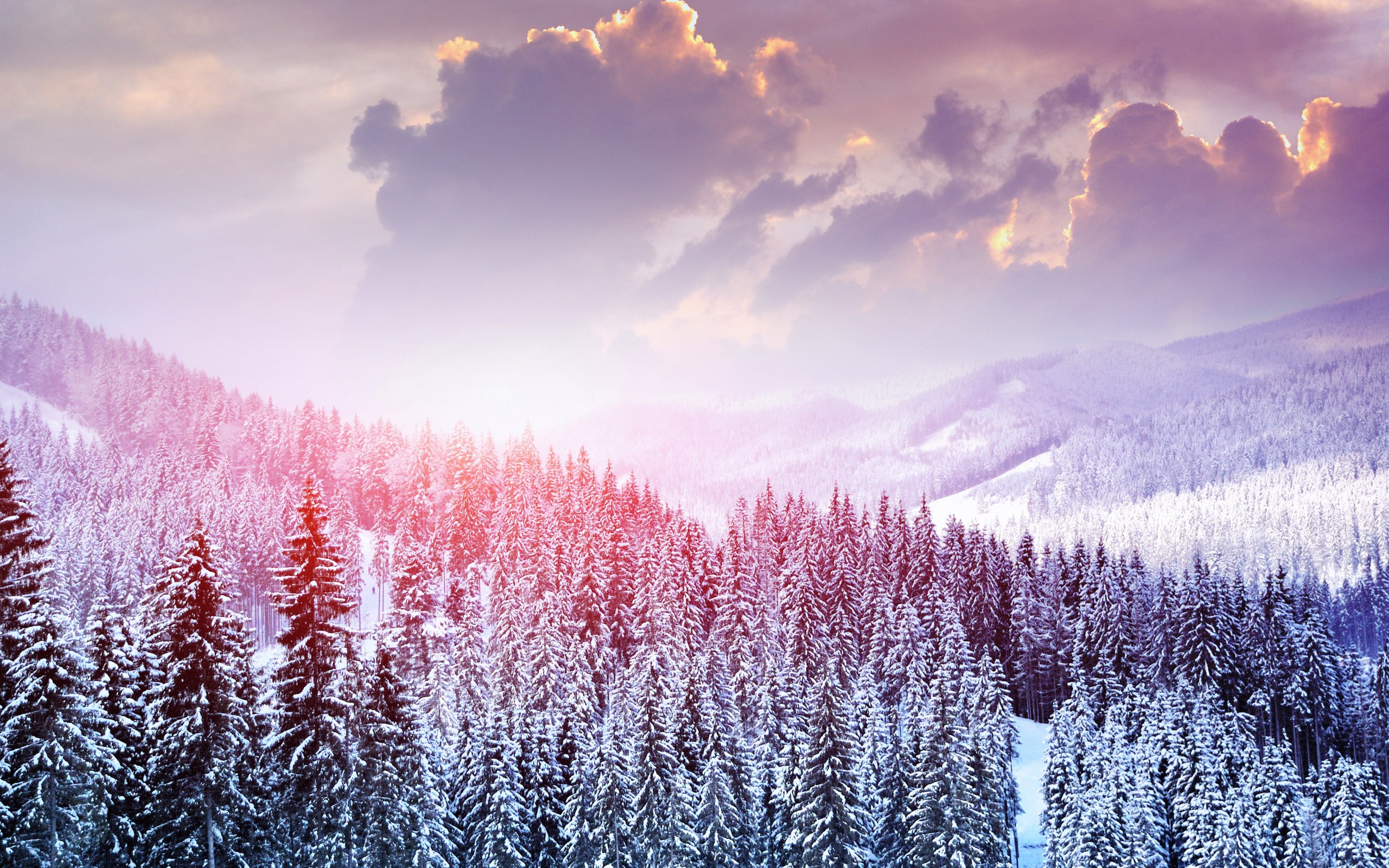 Beautiful Winter Landscape Wallpaper