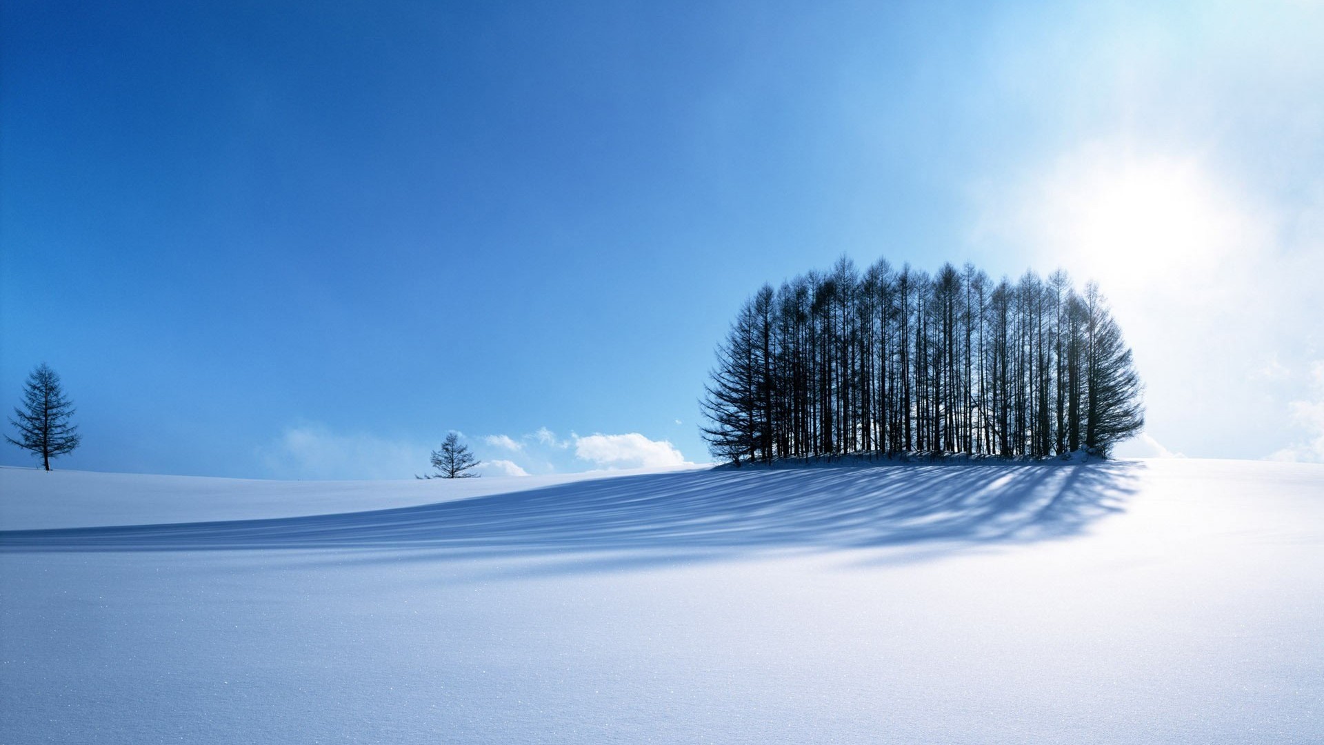 Winter HD Wallpaper