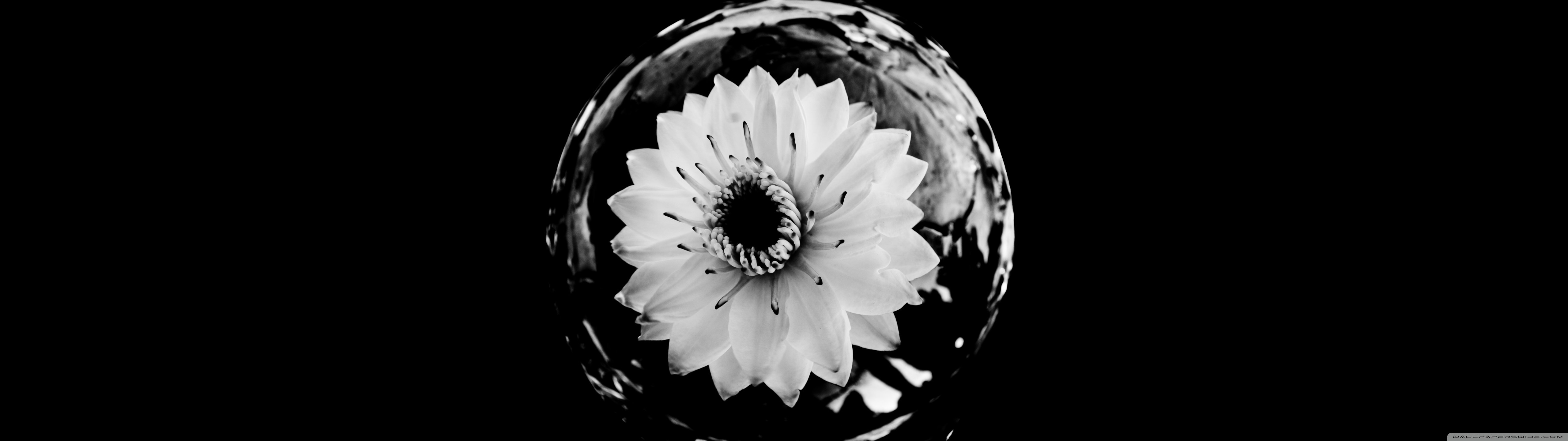 Wallpaper HD Desktop