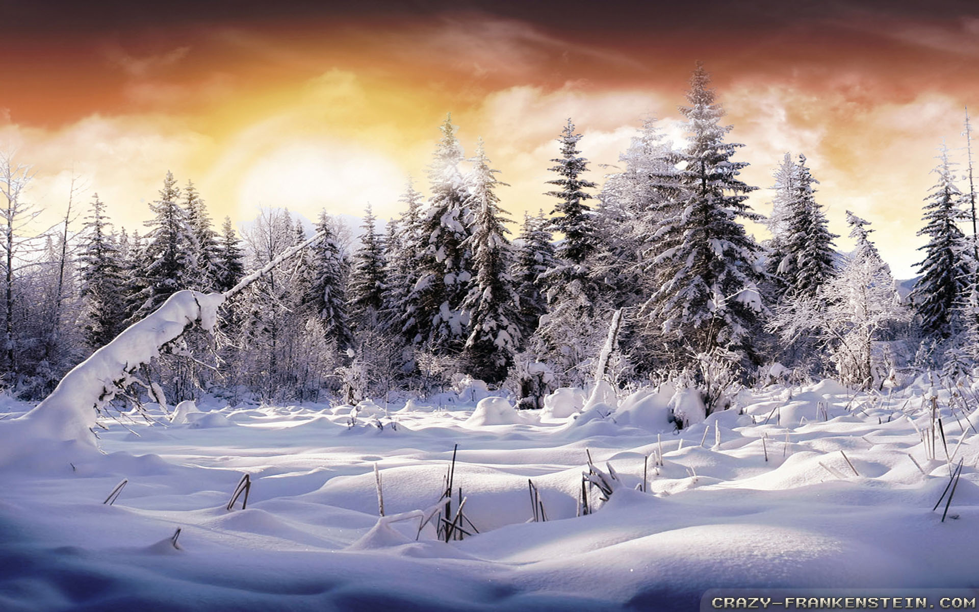 Beautiful Winter Scene Desktop Wallpaper