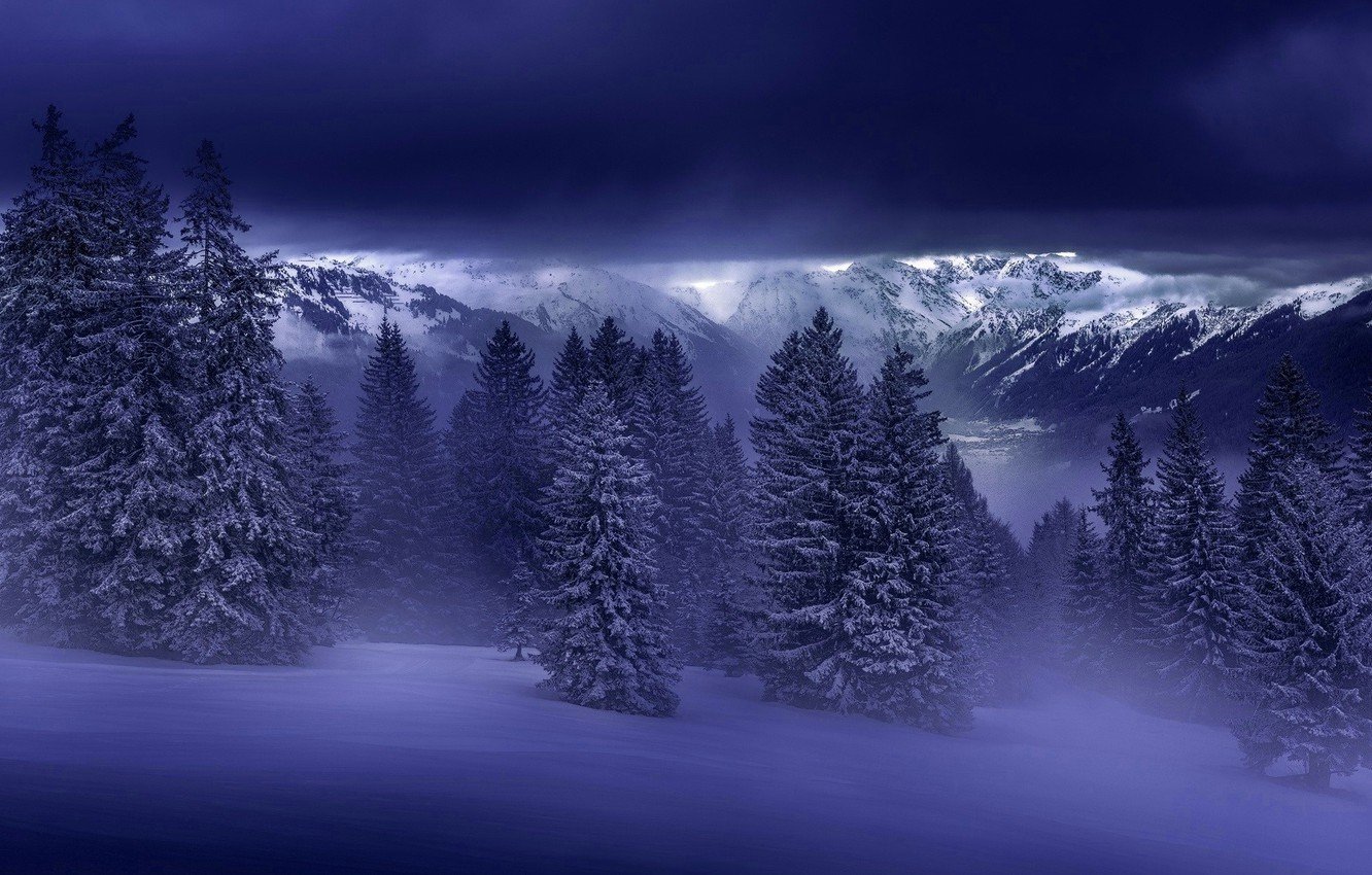 Wallpaper Winter, Mountains, Snow, Forest, Spruce forest image for desktop, section природа