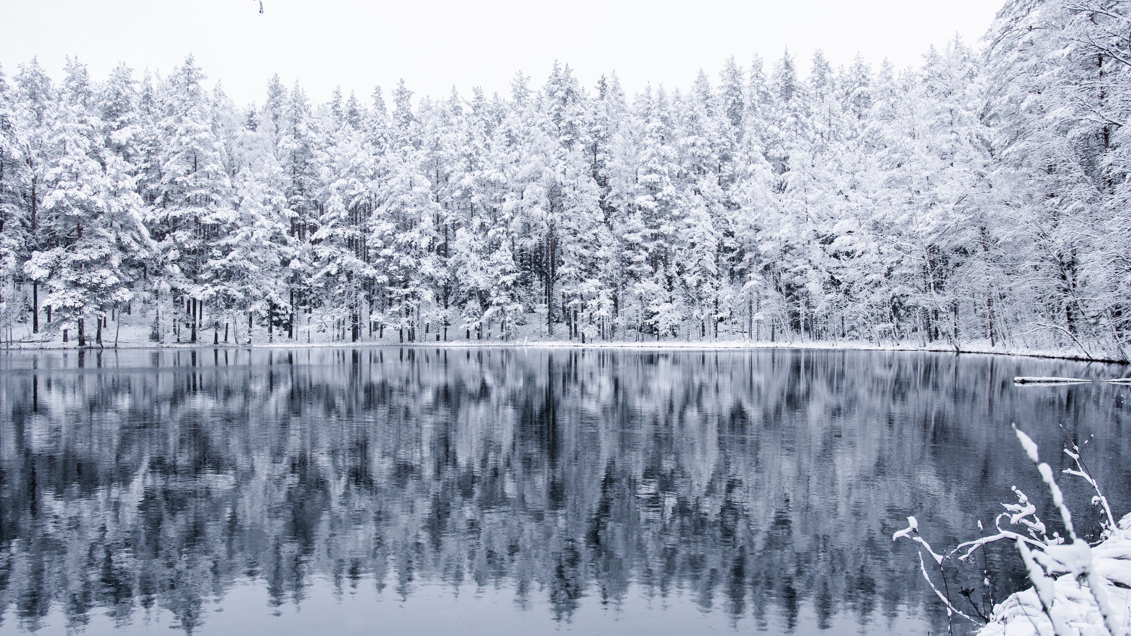 Download wallpaper 3840x2160 winter, forest, lake, snow, reflection 4k uhd 16:9 HD background