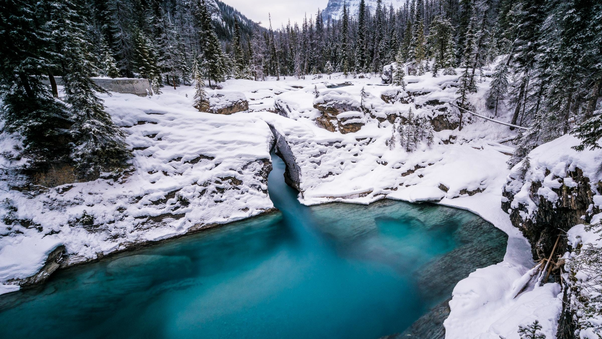 Download lake, pine trees, forest, winter 1920x1080 wallpaper, full hd, hdtv, fhd, 1080p wallpaper, 1920x1080 HD image, background, 23569