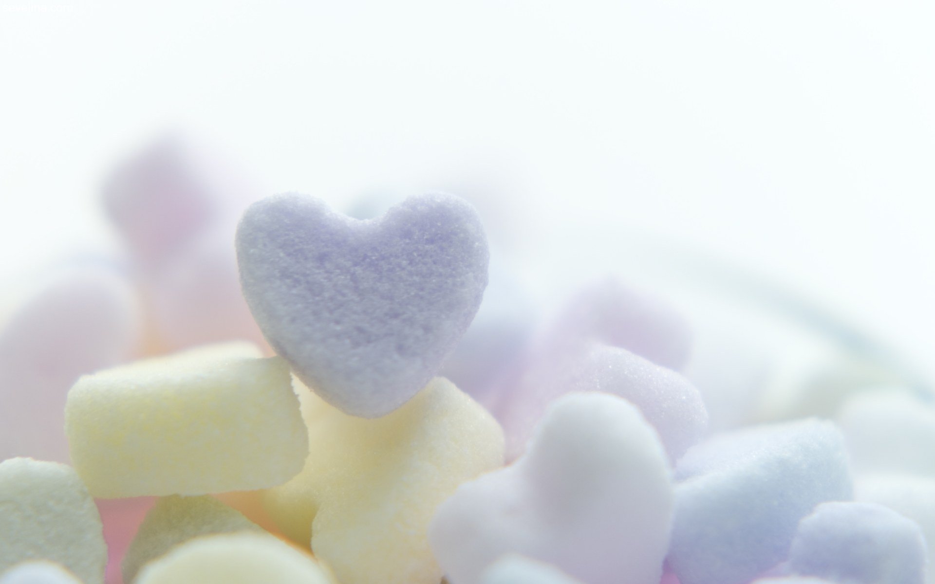 Cute St. Valentine's day wallpaper. • Sevelina Games for girls