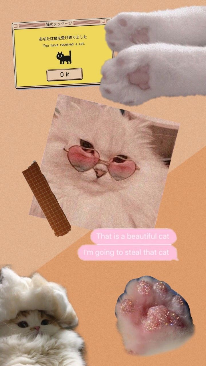 aesthetic cat collage. Cat collage, Cute profile picture, Animals