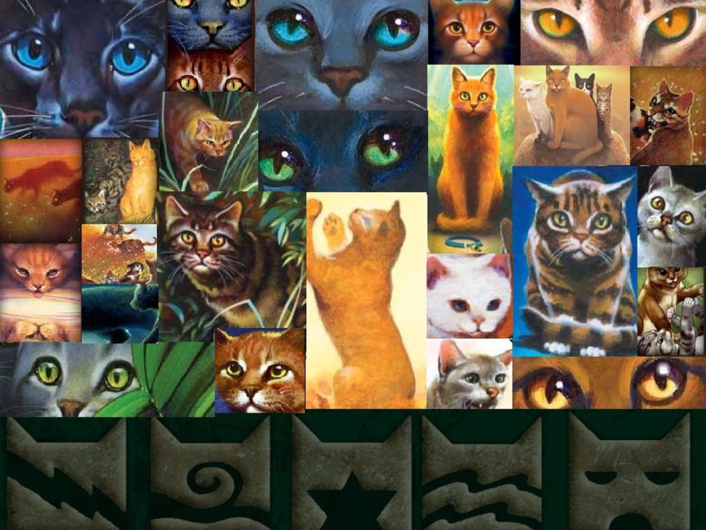 Free download Warrior Cats Collage The 252094 With Resolutions 1024768 Pixel [1024x768] for your Desktop, Mobile & Tablet. Explore Warrior Cats Wallpaper for Computer. Warriors Ground Wallpaper