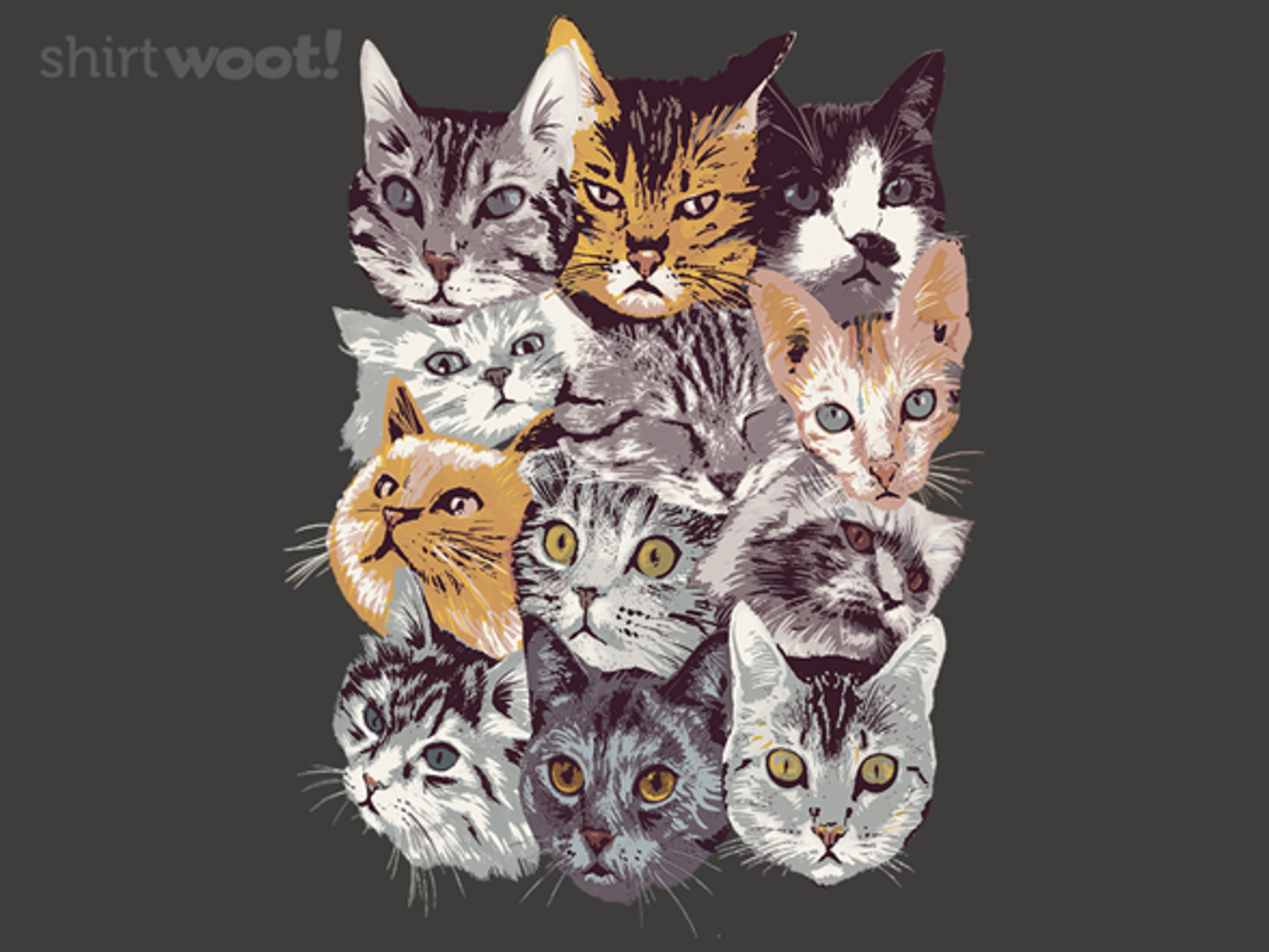 Cat Collage - $15.00 + Free shipping from Woot!. Day of the Shirt