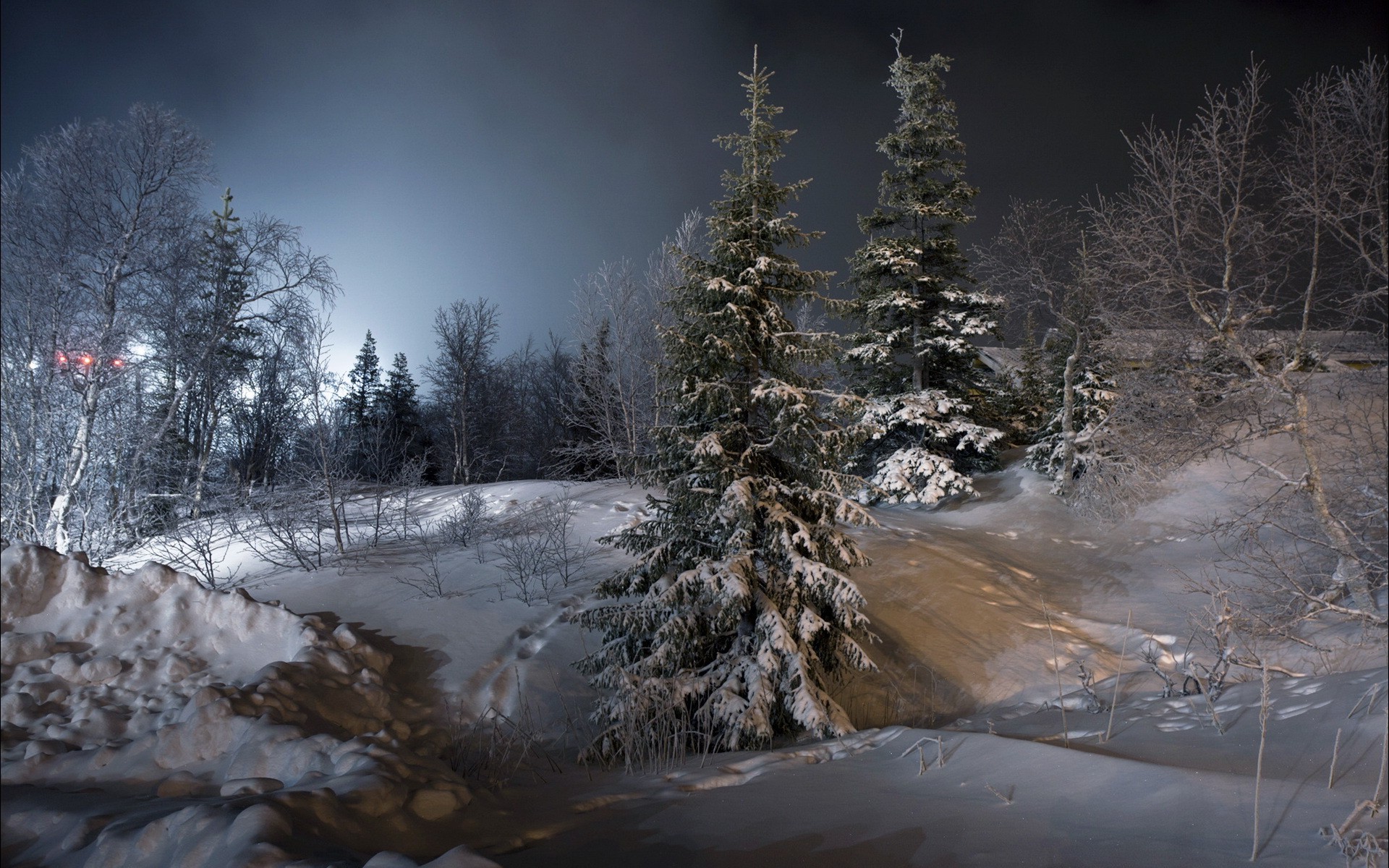 night, Landscape, Trees, Snow, Ice, Winter Wallpaper HD / Desktop and Mobile Background