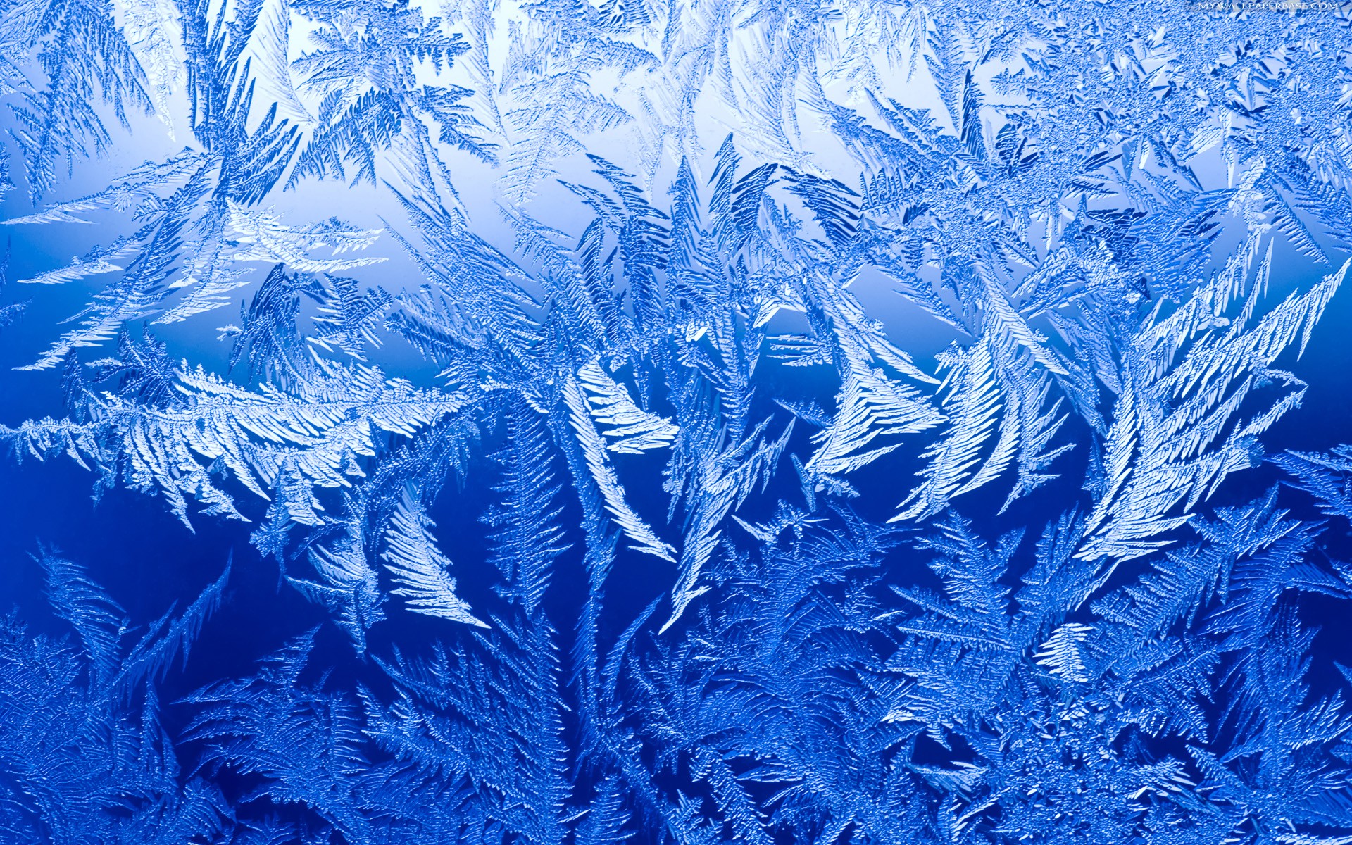 Ice Winter Wallpaper HD