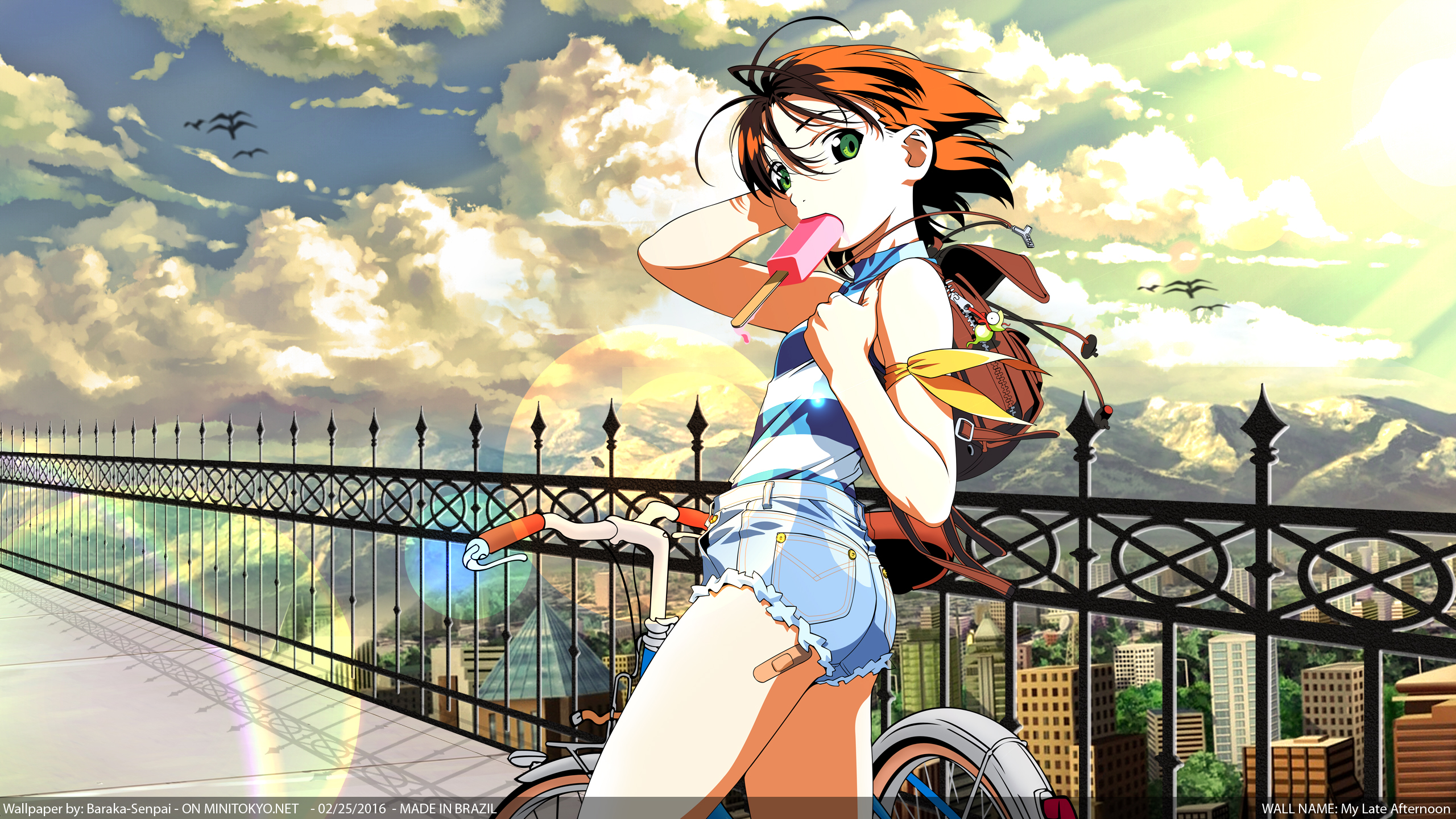 My late afternoon HD Wallpaper