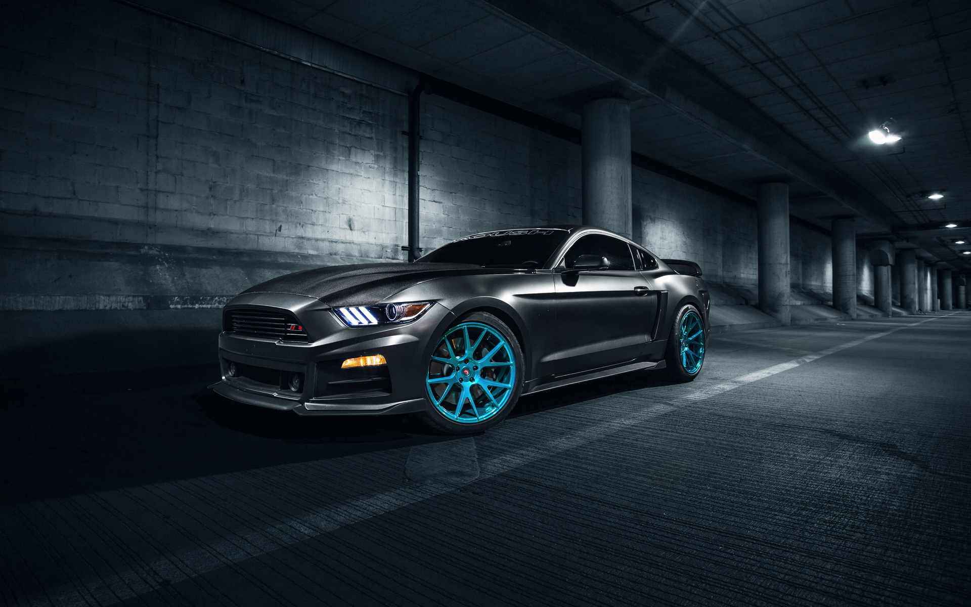 Vossen 4K wallpaper for your desktop or mobile screen free and easy to download