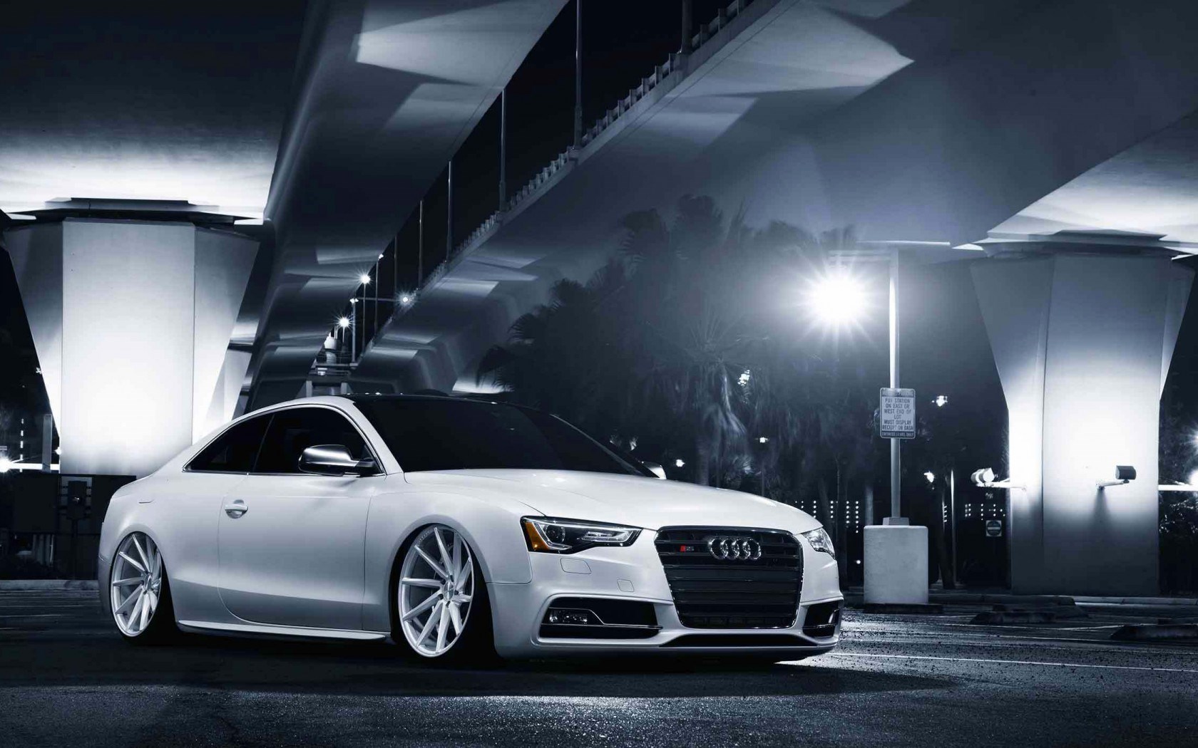 Vossen Wallpapers - Wallpaper Cave