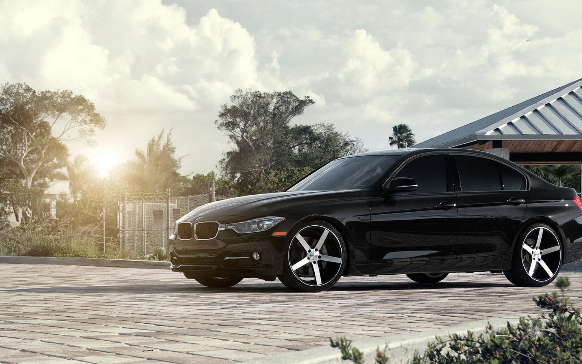 Vossen 4K wallpaper for your desktop or mobile screen free and easy to download