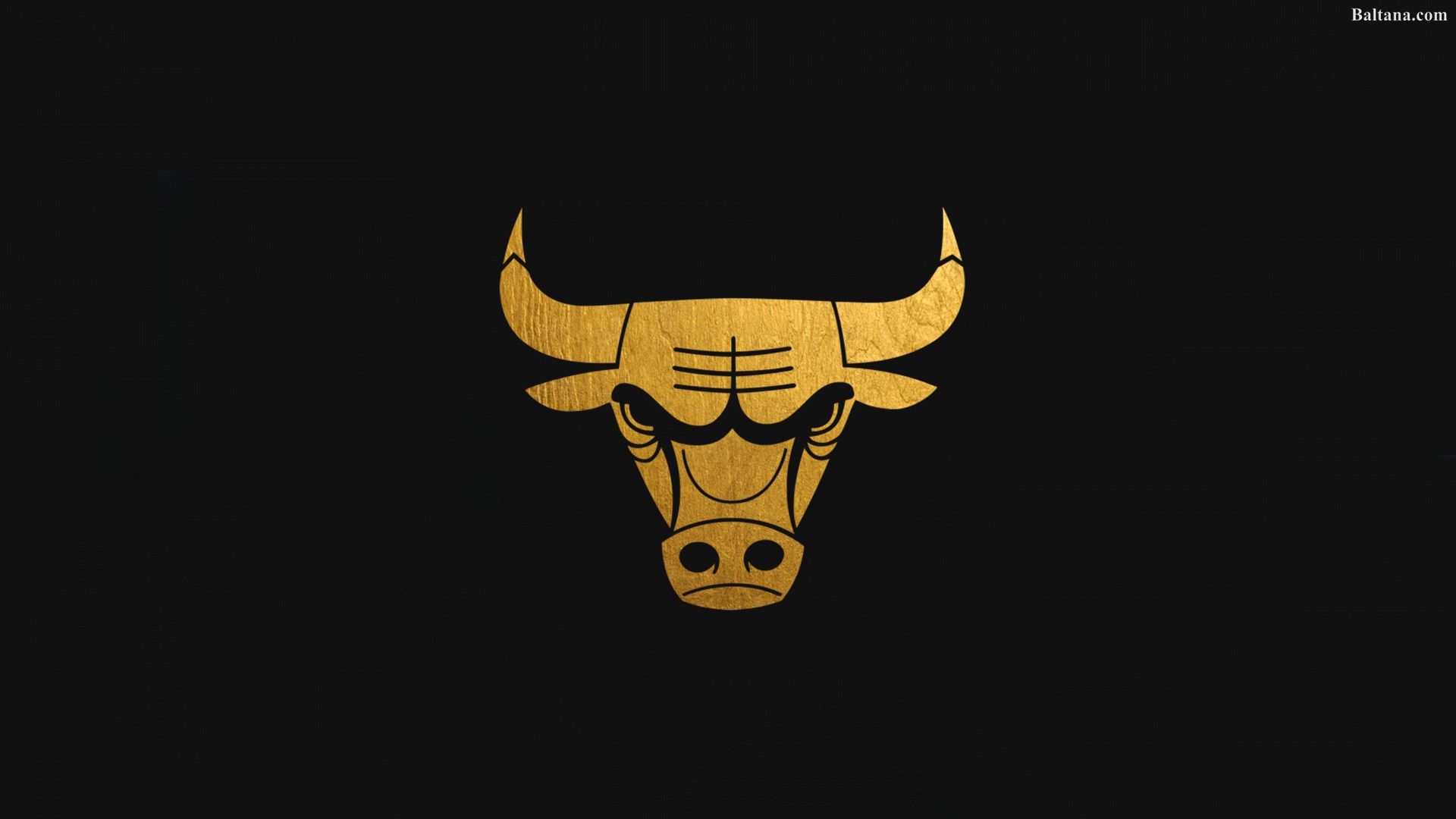 Chicago Bulls HD Wallpaper