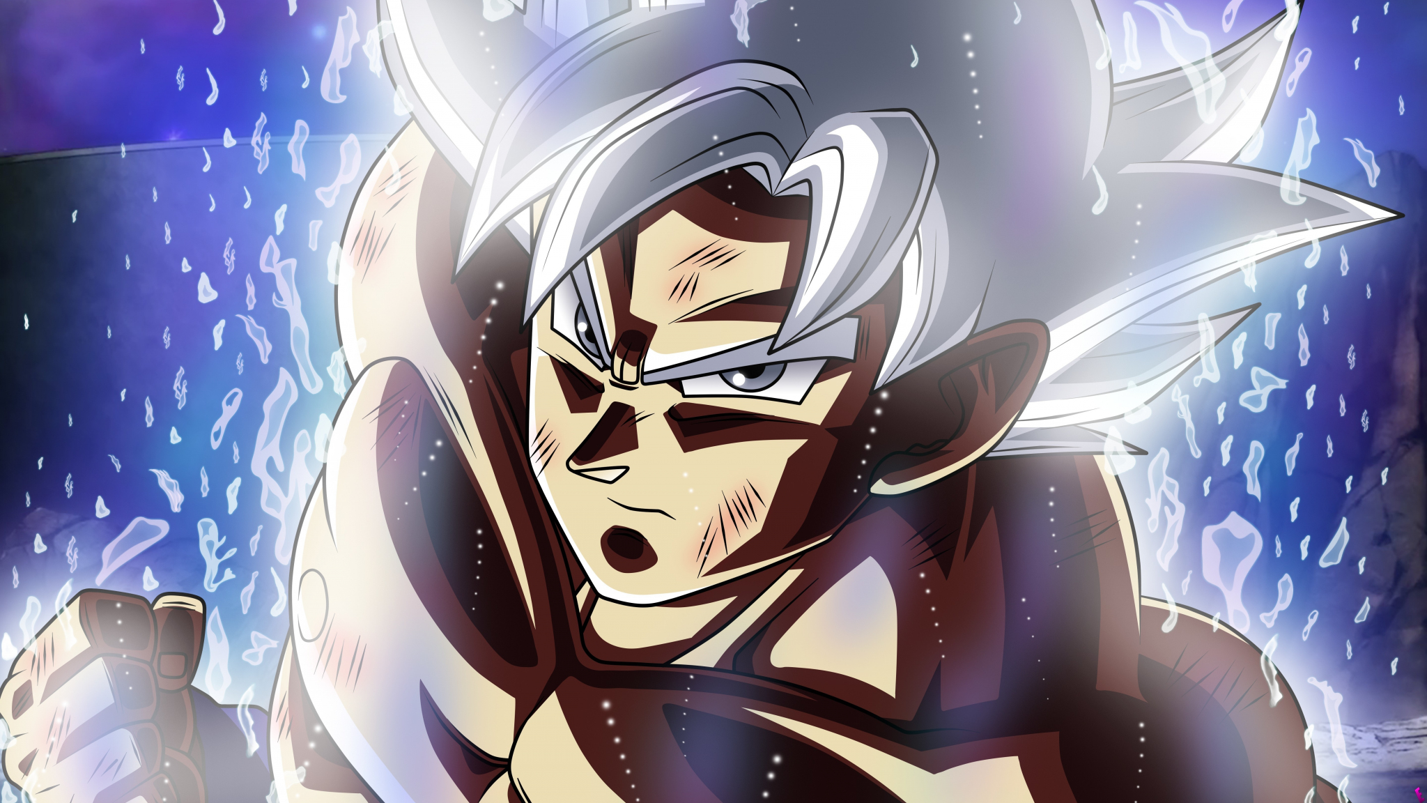 Download goku, ready for punch, anime 2048x1152 wallpaper, dual wide 2048x1152 HD image, background, 5671