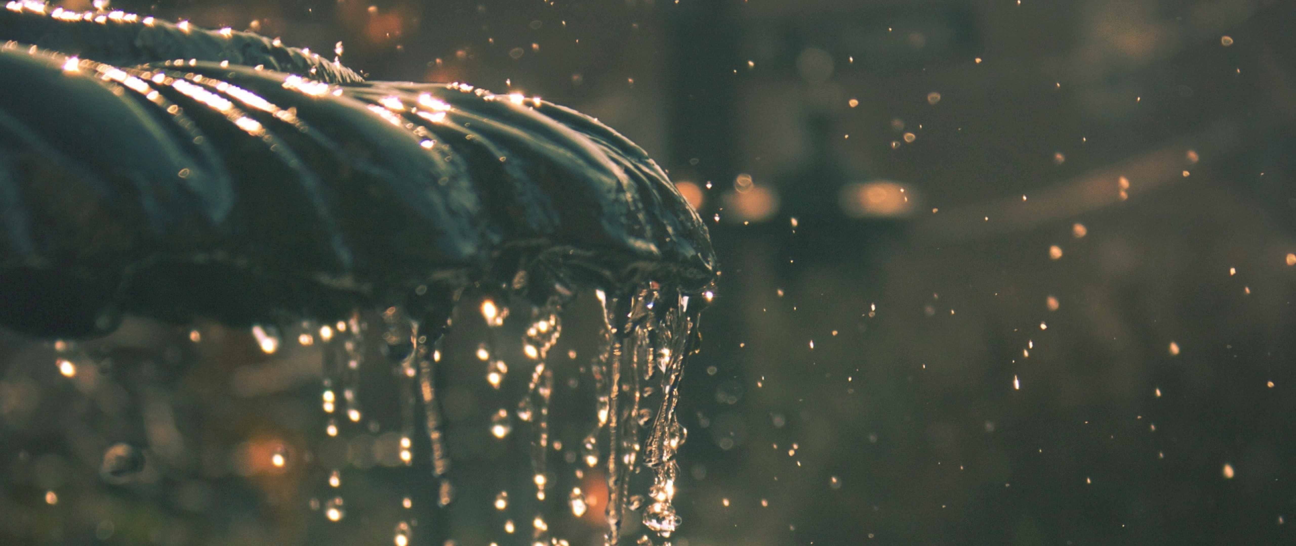 Water fountain drops HD Wallpaper 4K Ultra HD Wide TV