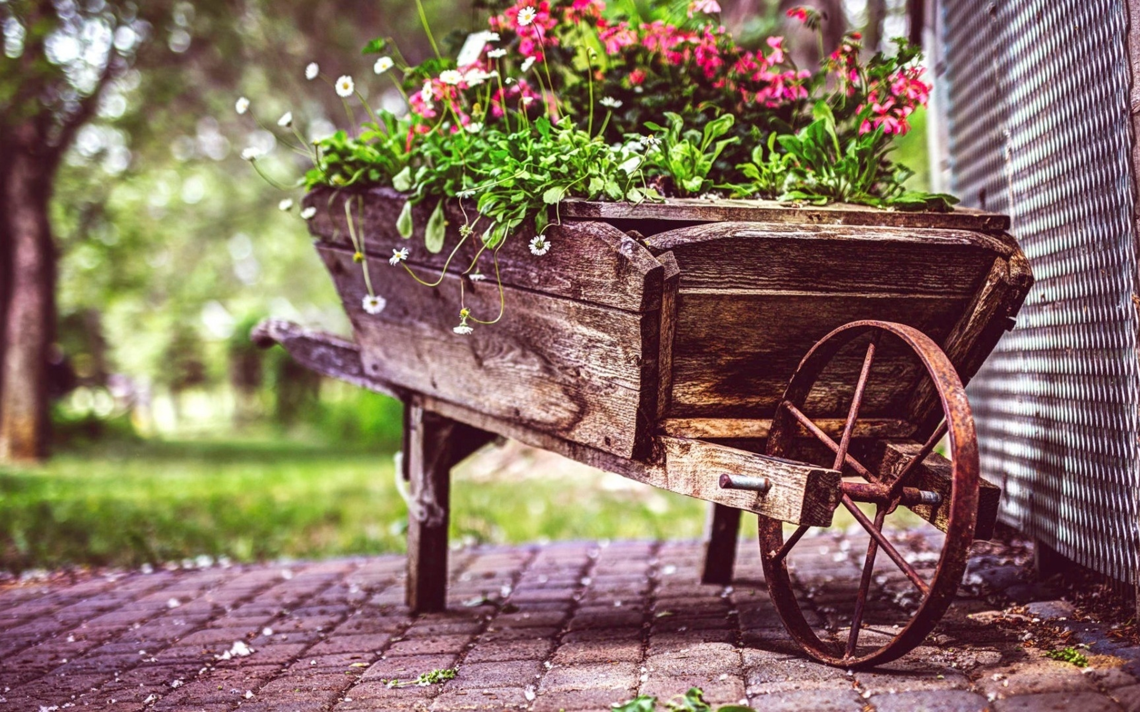 Vintage Flower Pot 4k HD 4k Wallpaper, Image, Background, Photo and Picture