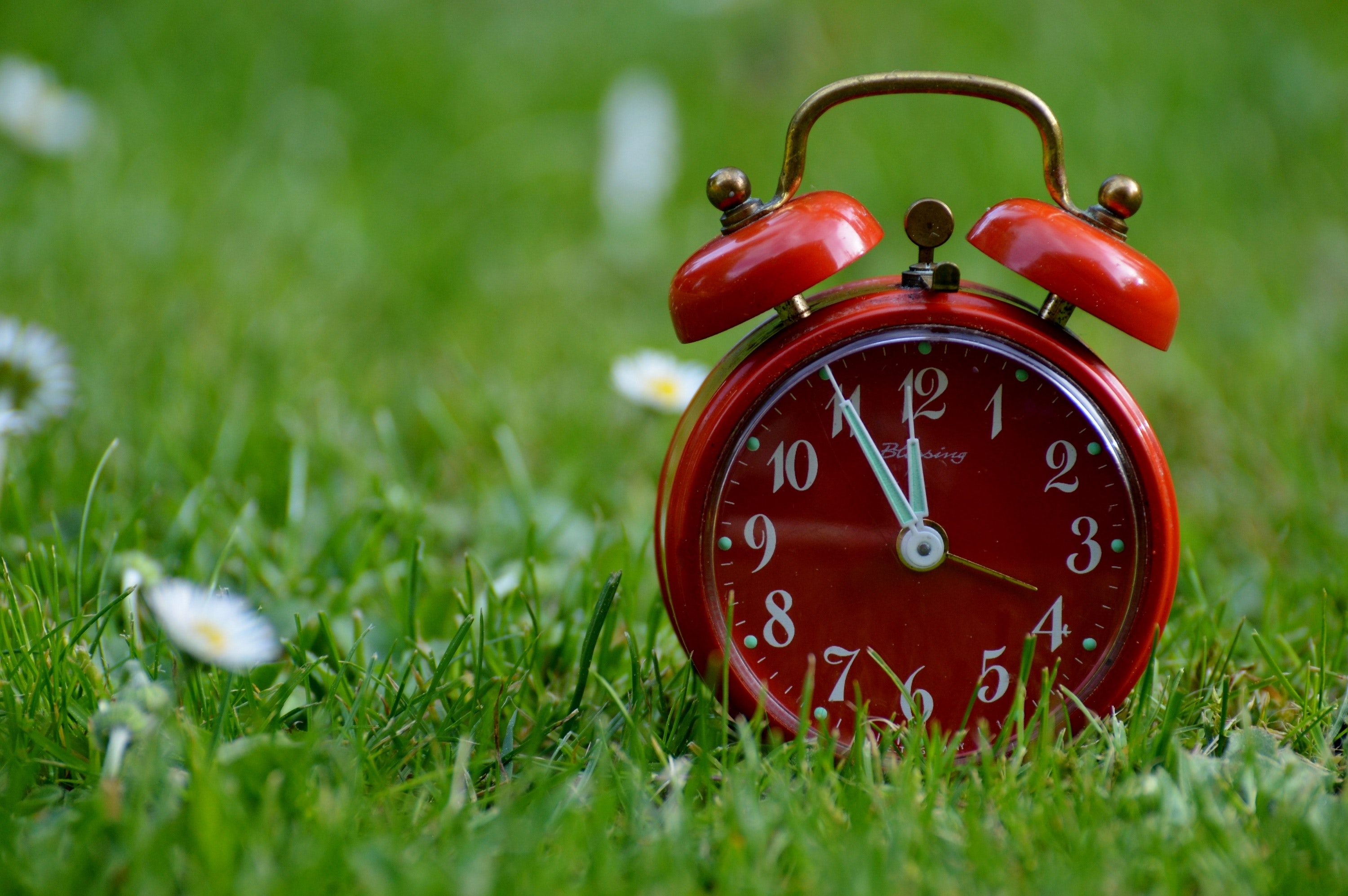 Red 2 Bell Alarm Clock On Grass Field · Free