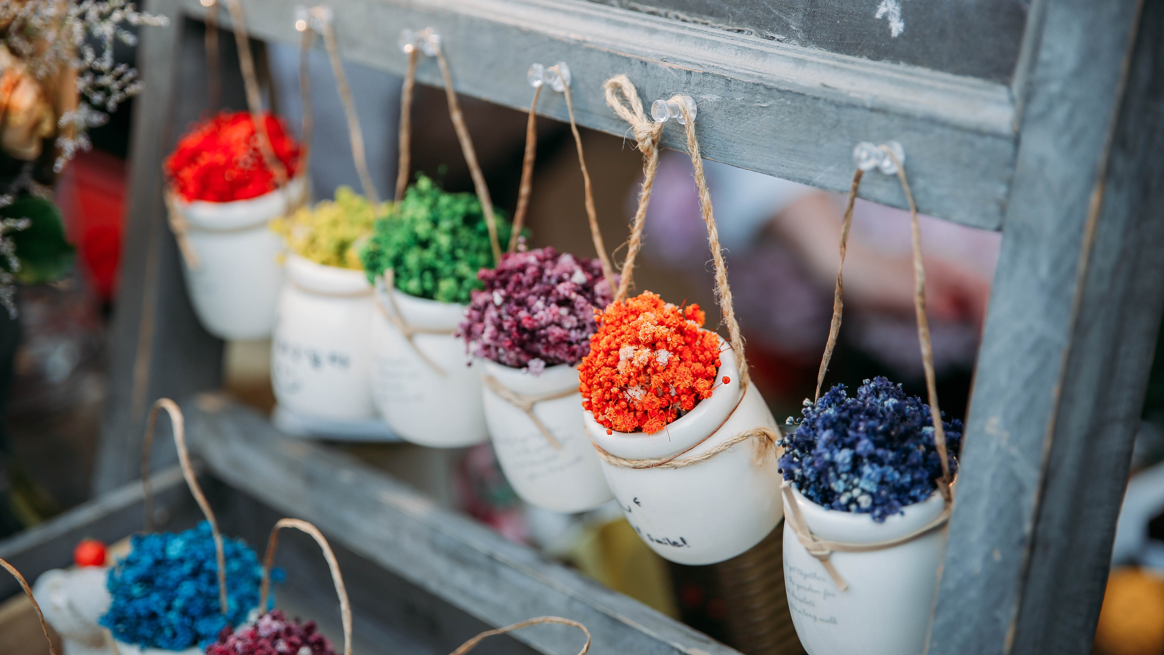 Flower Pot 4k Wallpapers - Wallpaper Cave