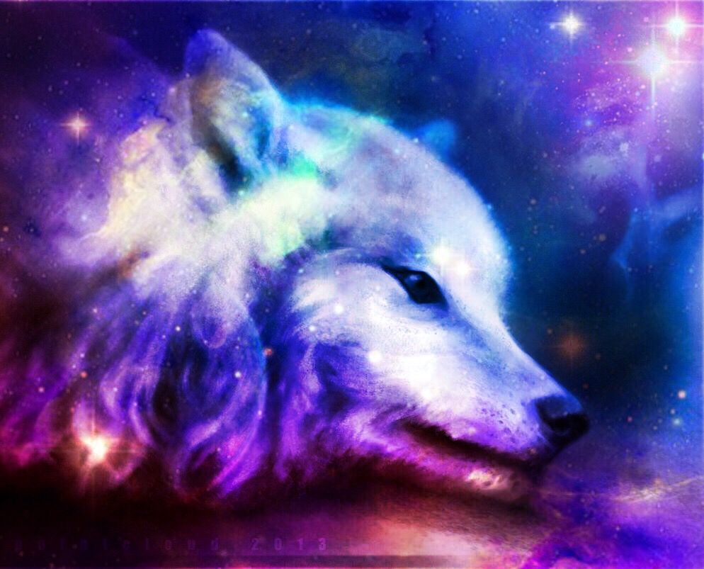 2017 Galaxy Wolf Wallpaper Created By Me  Wolf wallpaper Spirit animal  art Galaxy wolf