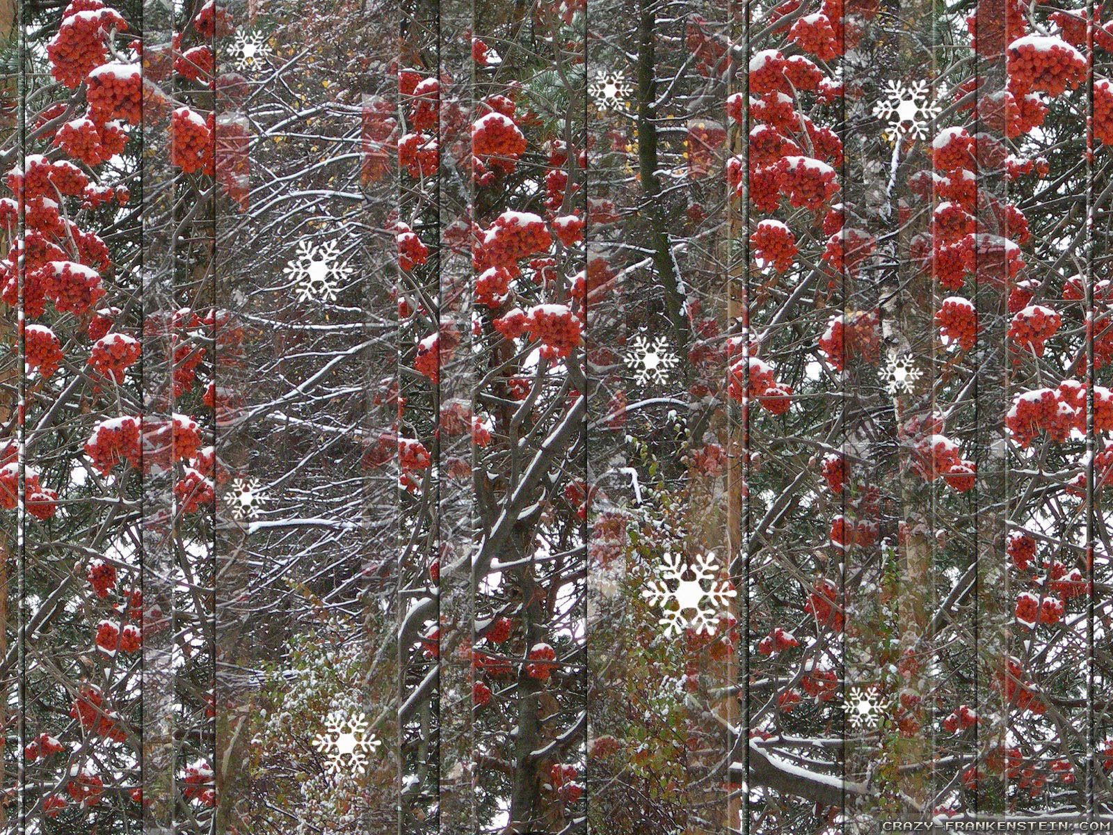 Winter Tree wallpaper