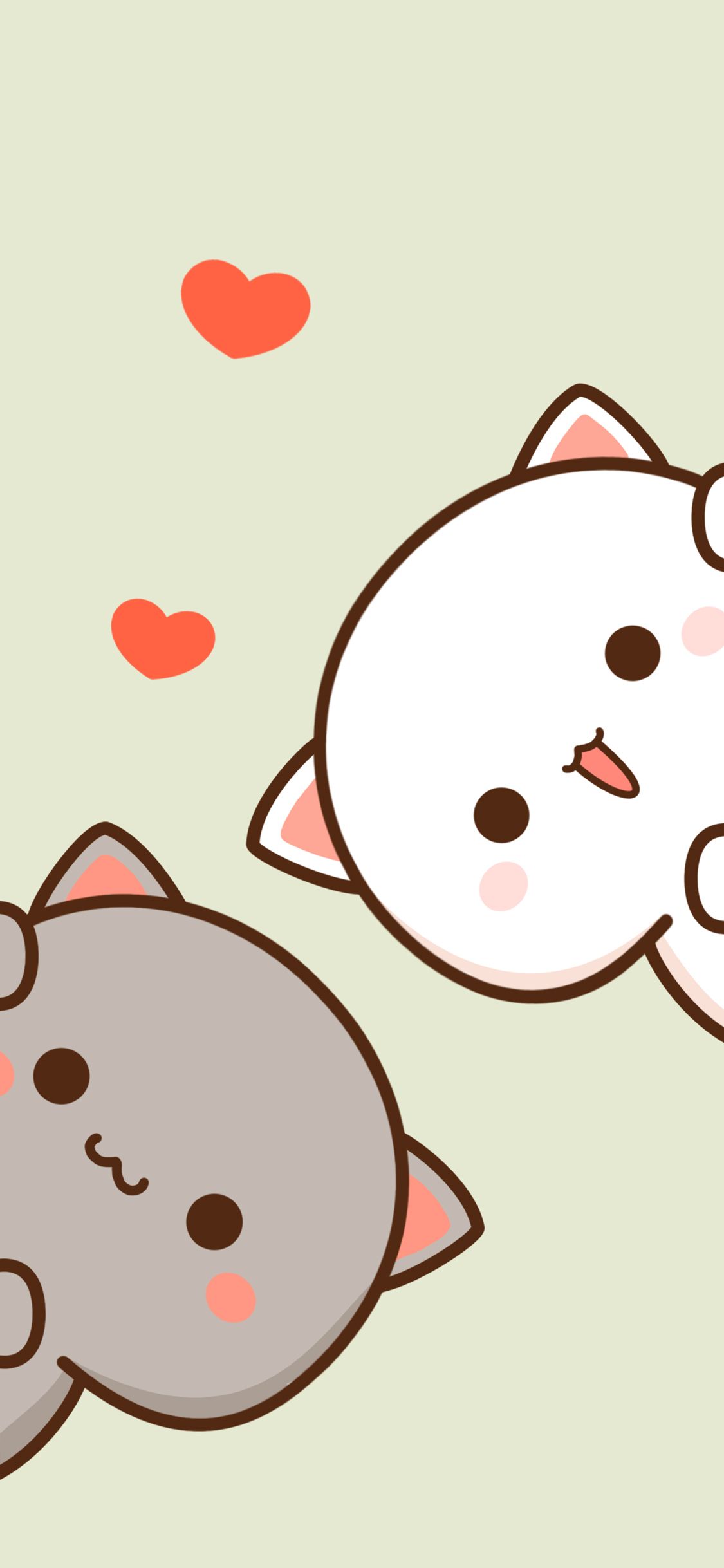 Mochi Cat Wallpaper