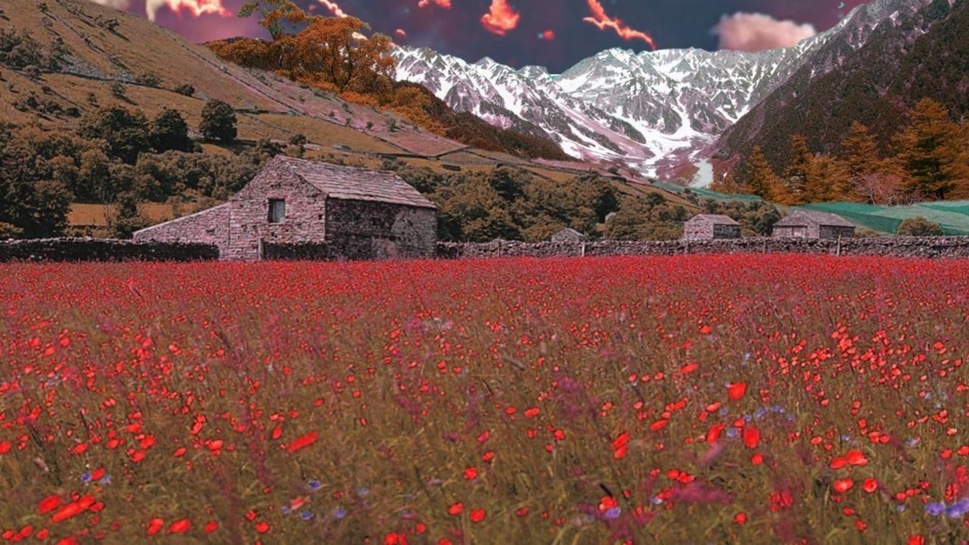 Cottage And Flowers Field With Background Of Mountain HD Cottagecore Wallpaper