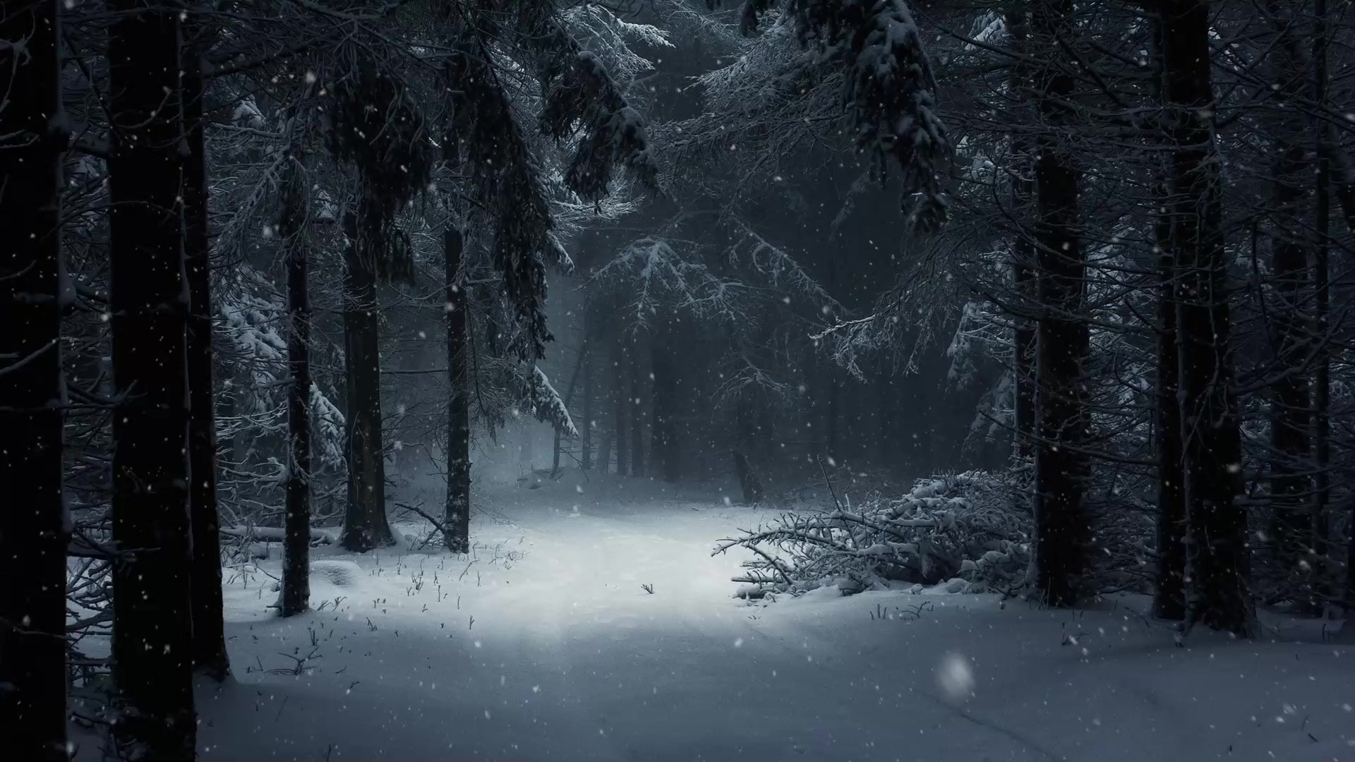 Forest With Snow In Winter Live Wallpaper