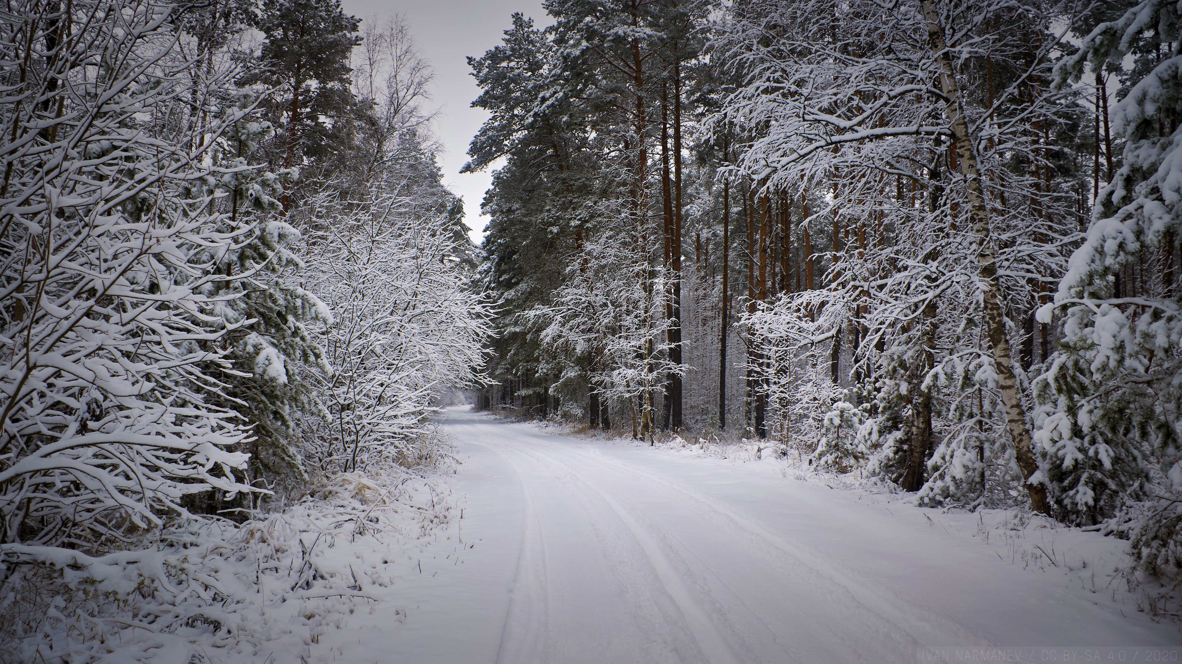 Download 3840x2160 Snow, Path, Winter, Forest, Road, Scenery Wallpaper for UHD TV