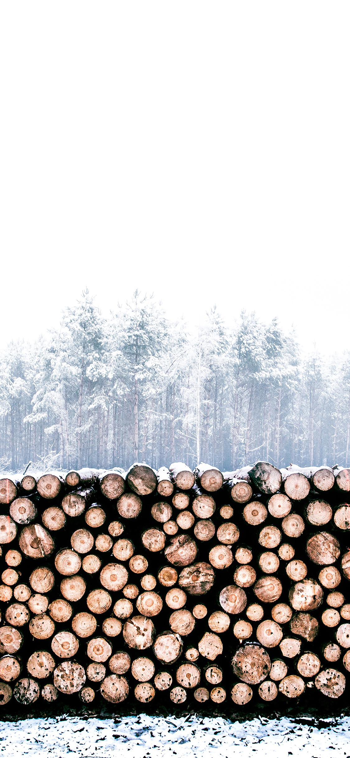 iPhone X wallpaper. winter snow wood forest nature