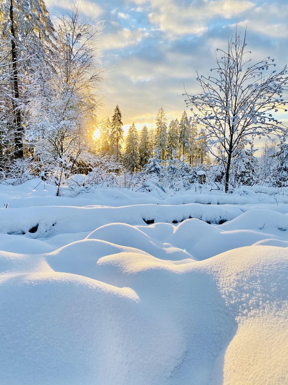 Winter Scenery Picture. Download Free Image